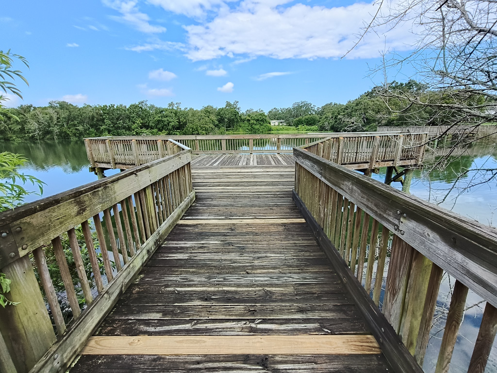 Eagle Lake Dog Park #1 - Clearwater, FL