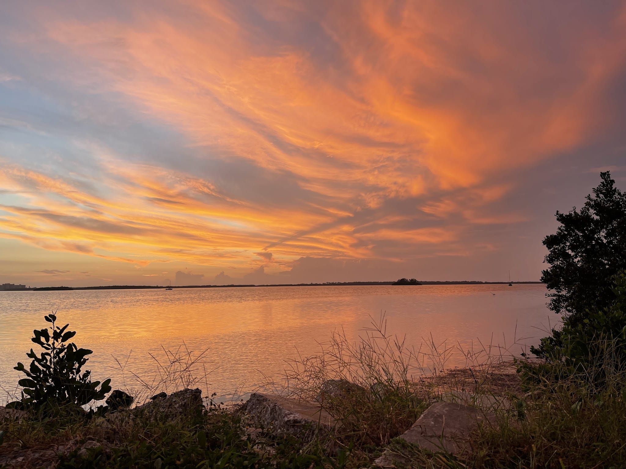 Edgewater Drive Park - Clearwater, FL