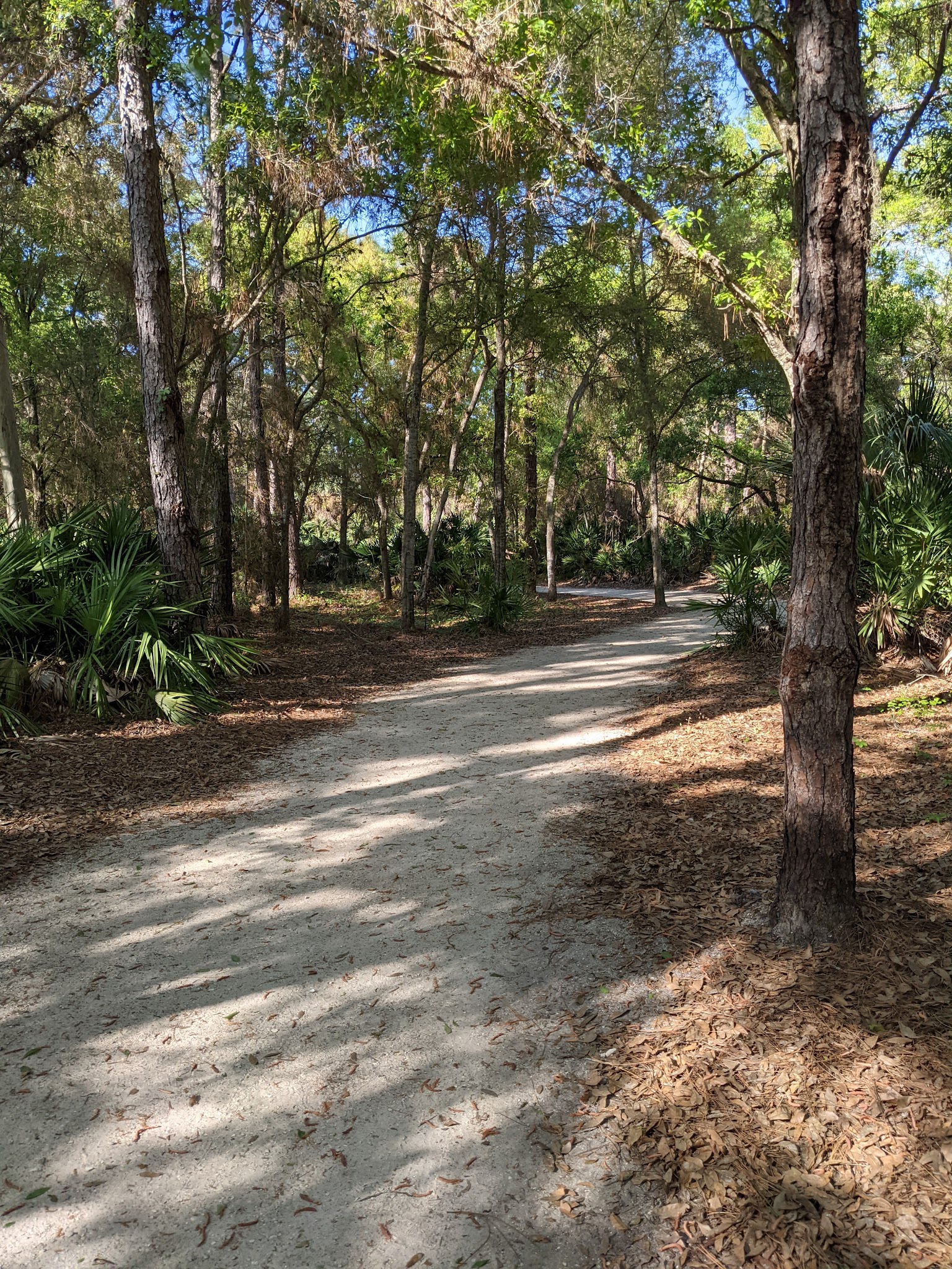Largo Datsko Park - Clearwater, FL