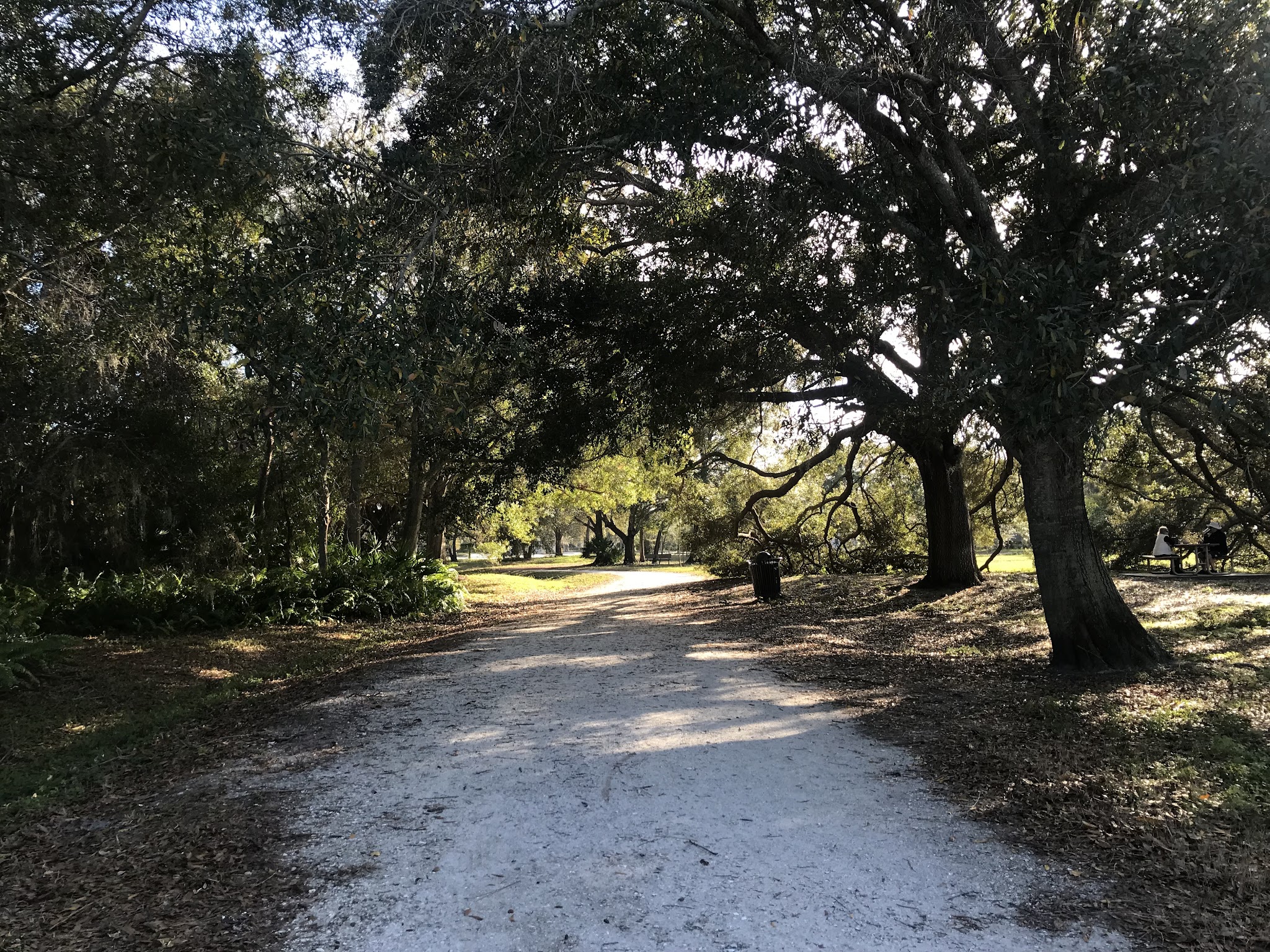 Largo Datsko Park - Clearwater, FL