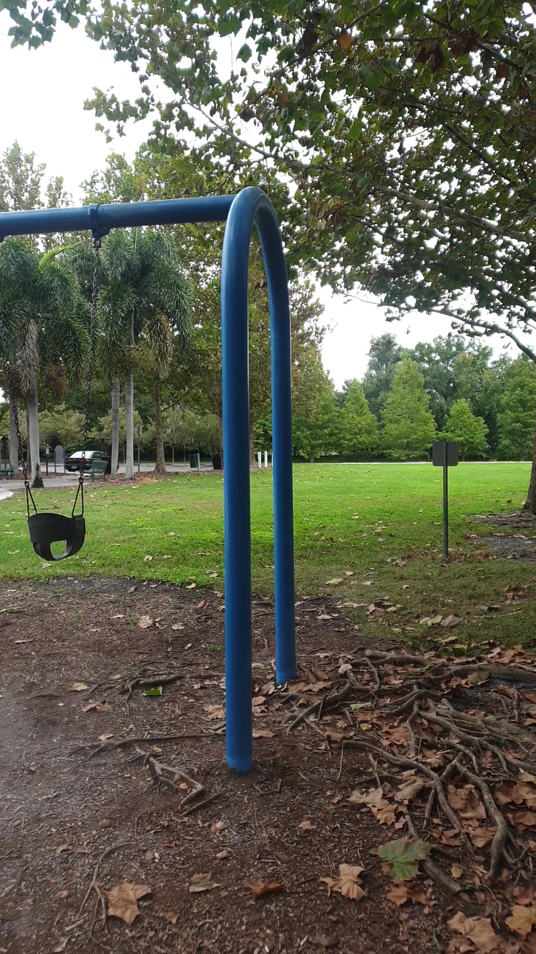 Largo Datsko Park - Clearwater, FL