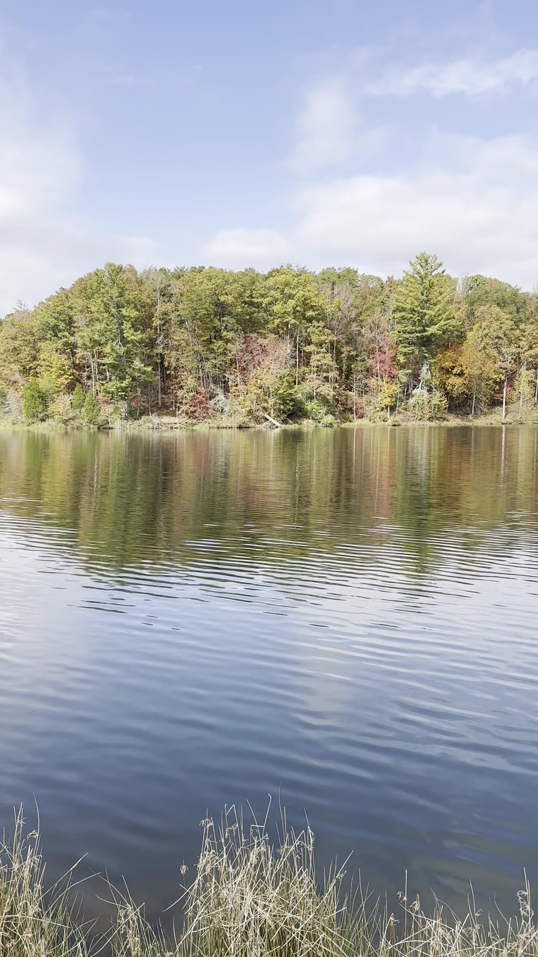 Yonah Preserve Trails - Cleveland, GA