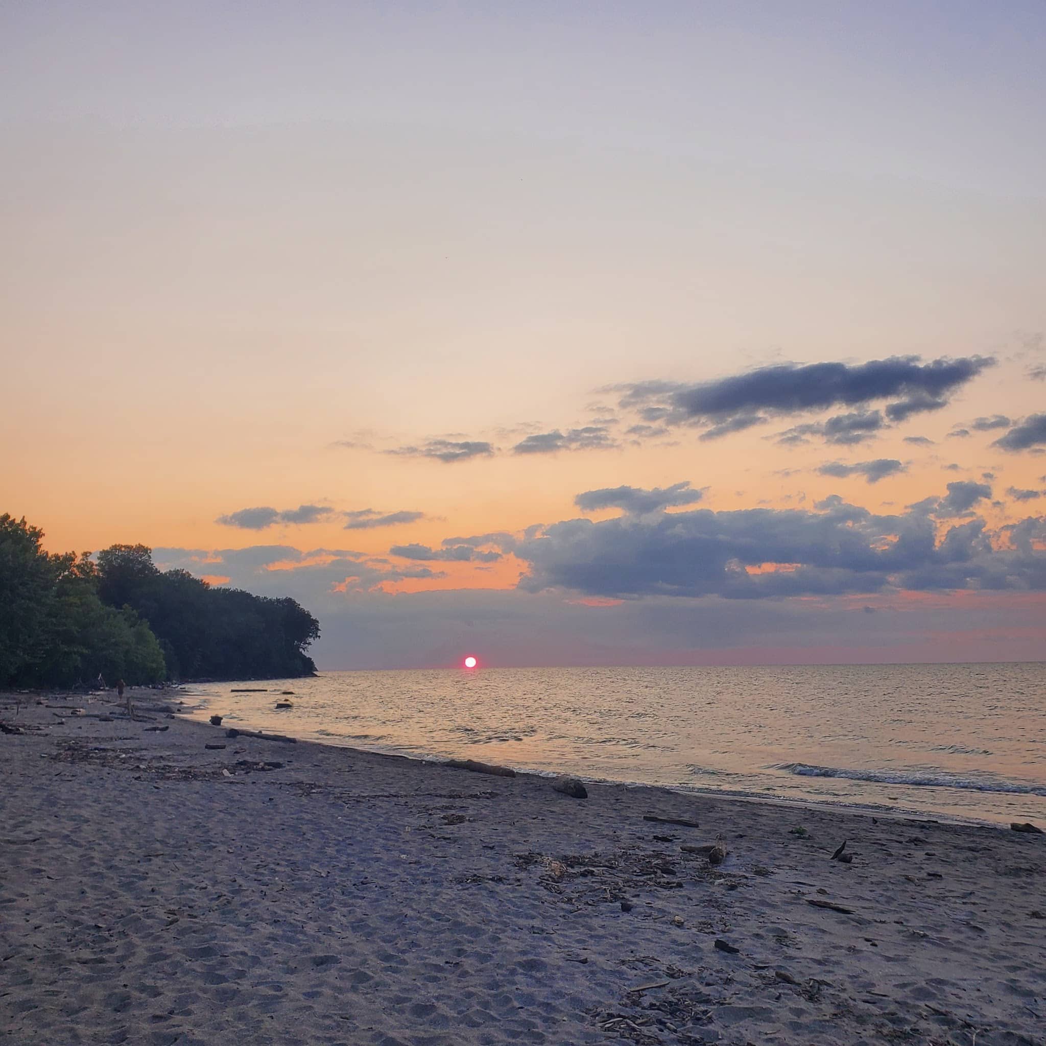 K-9 Coastline - Cleveland, OH