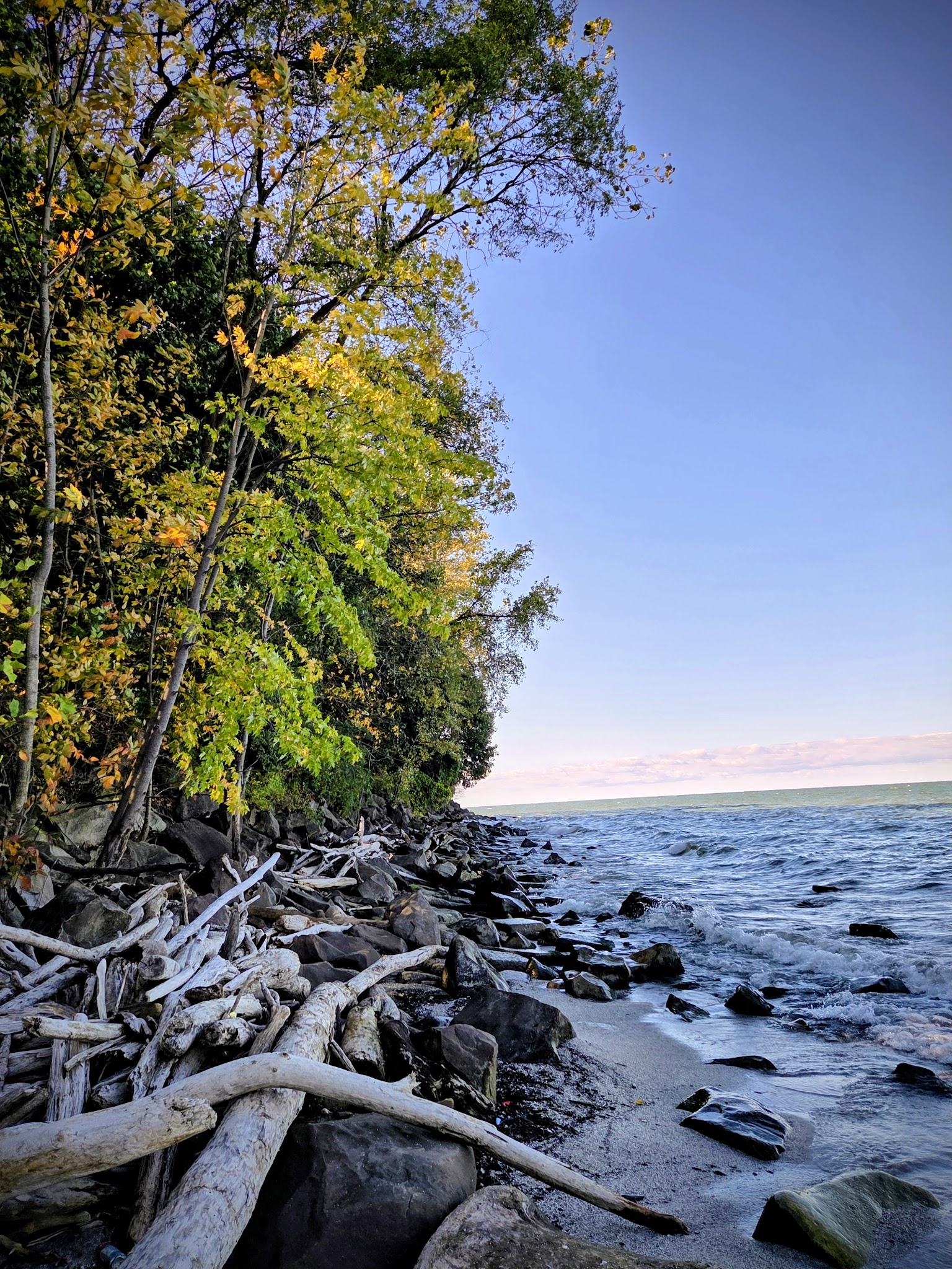 K-9 Coastline - Cleveland, OH