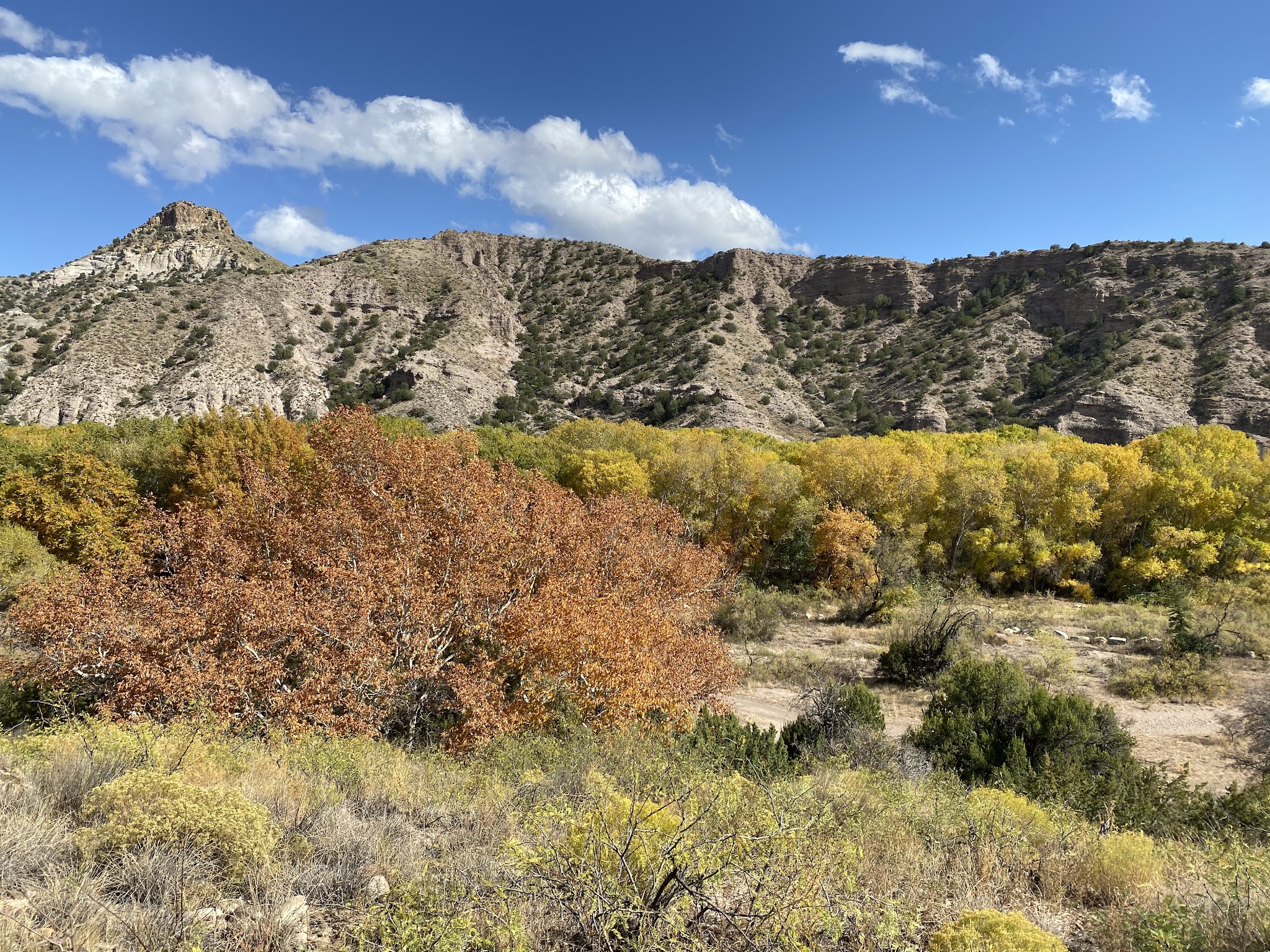 Box Canyon Day Use Area - Cliff, NM
