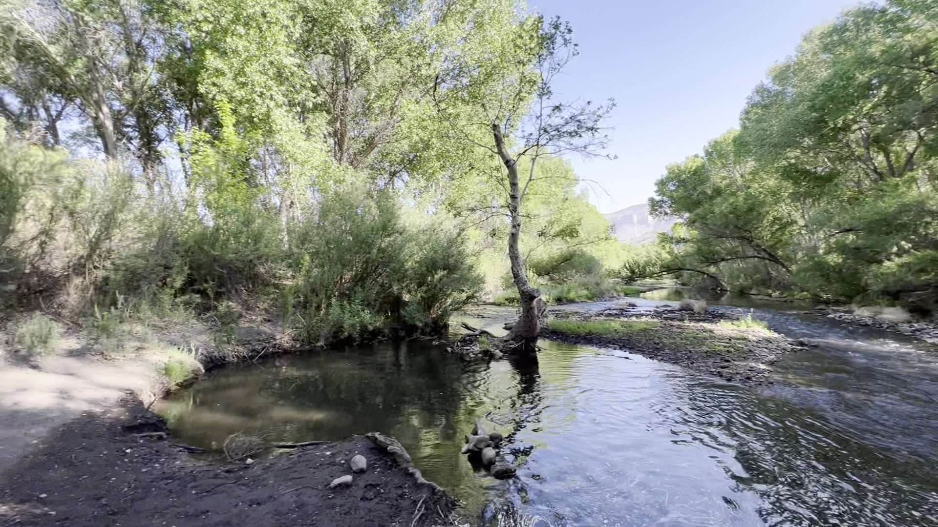 Box Canyon Day Use Area - Cliff, NM