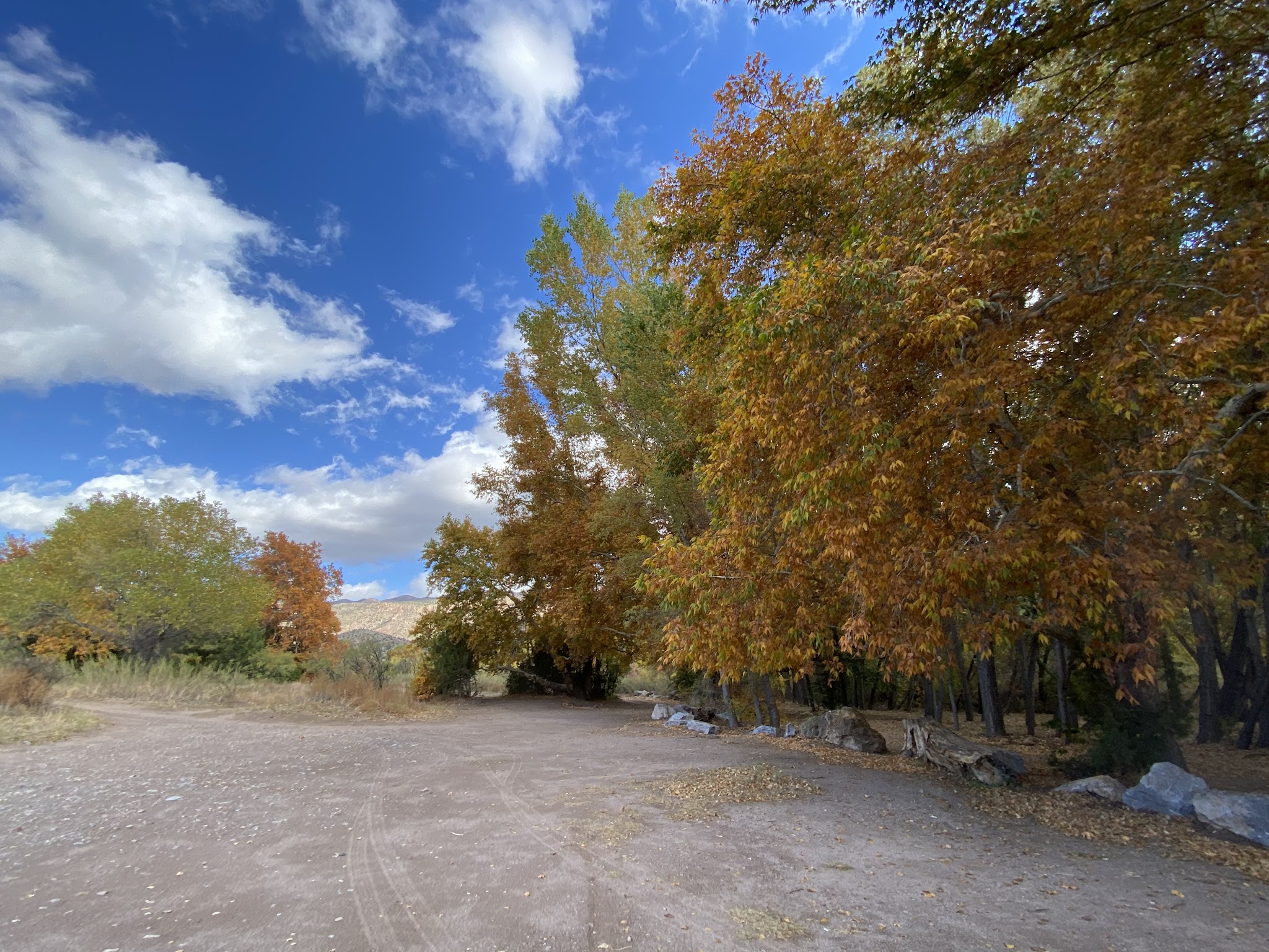 Box Canyon Day Use Area - Cliff, NM