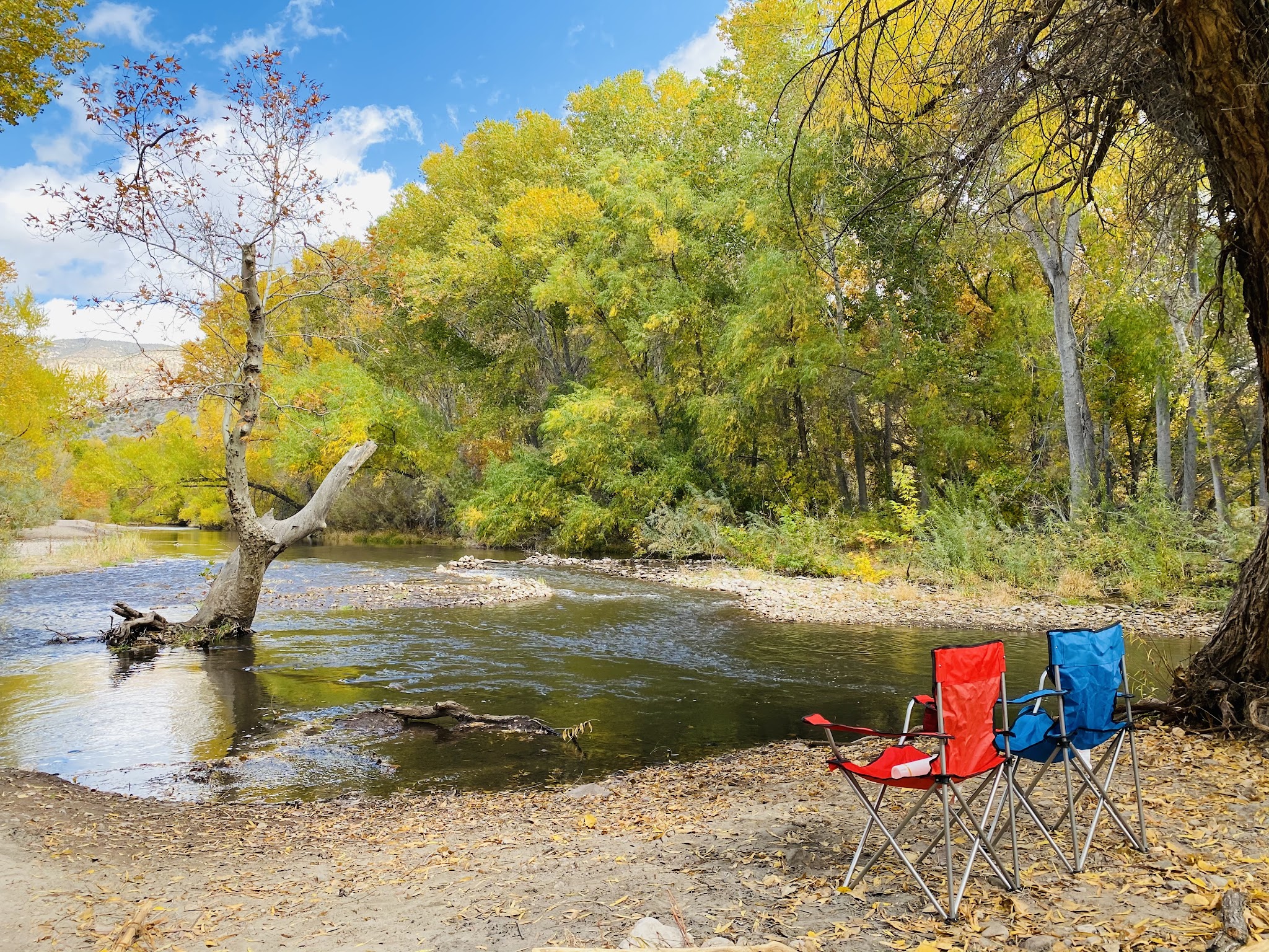 Box Canyon Day Use Area - Cliff, NM