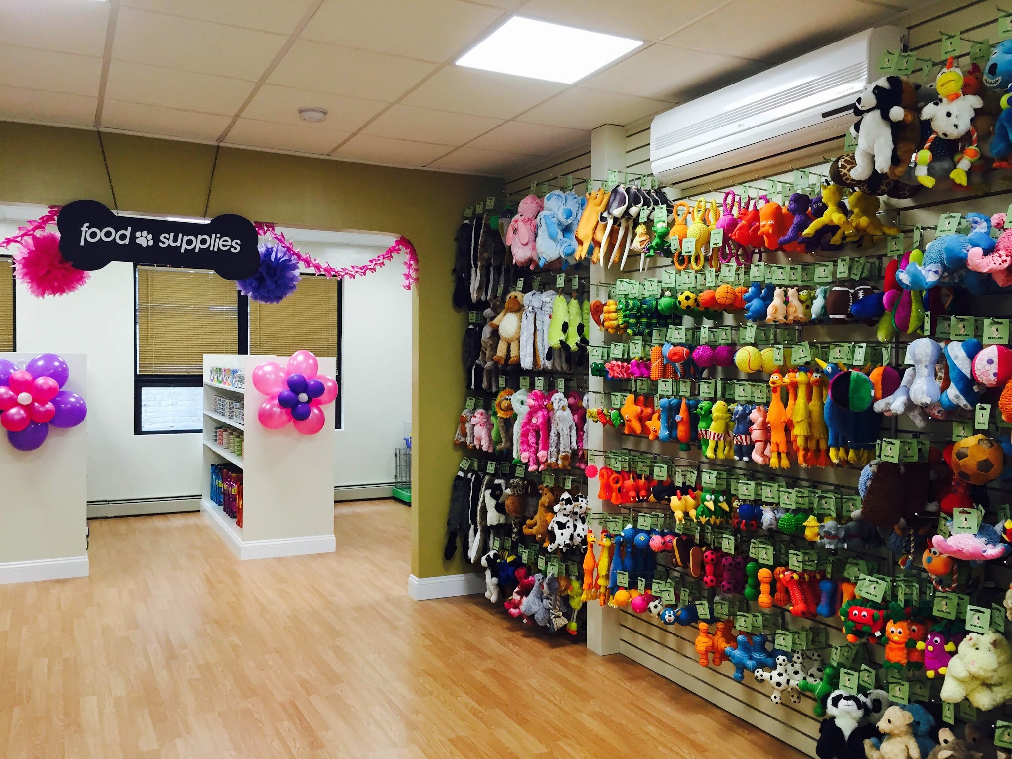 Head To Tail - Cliffside Park, NJ