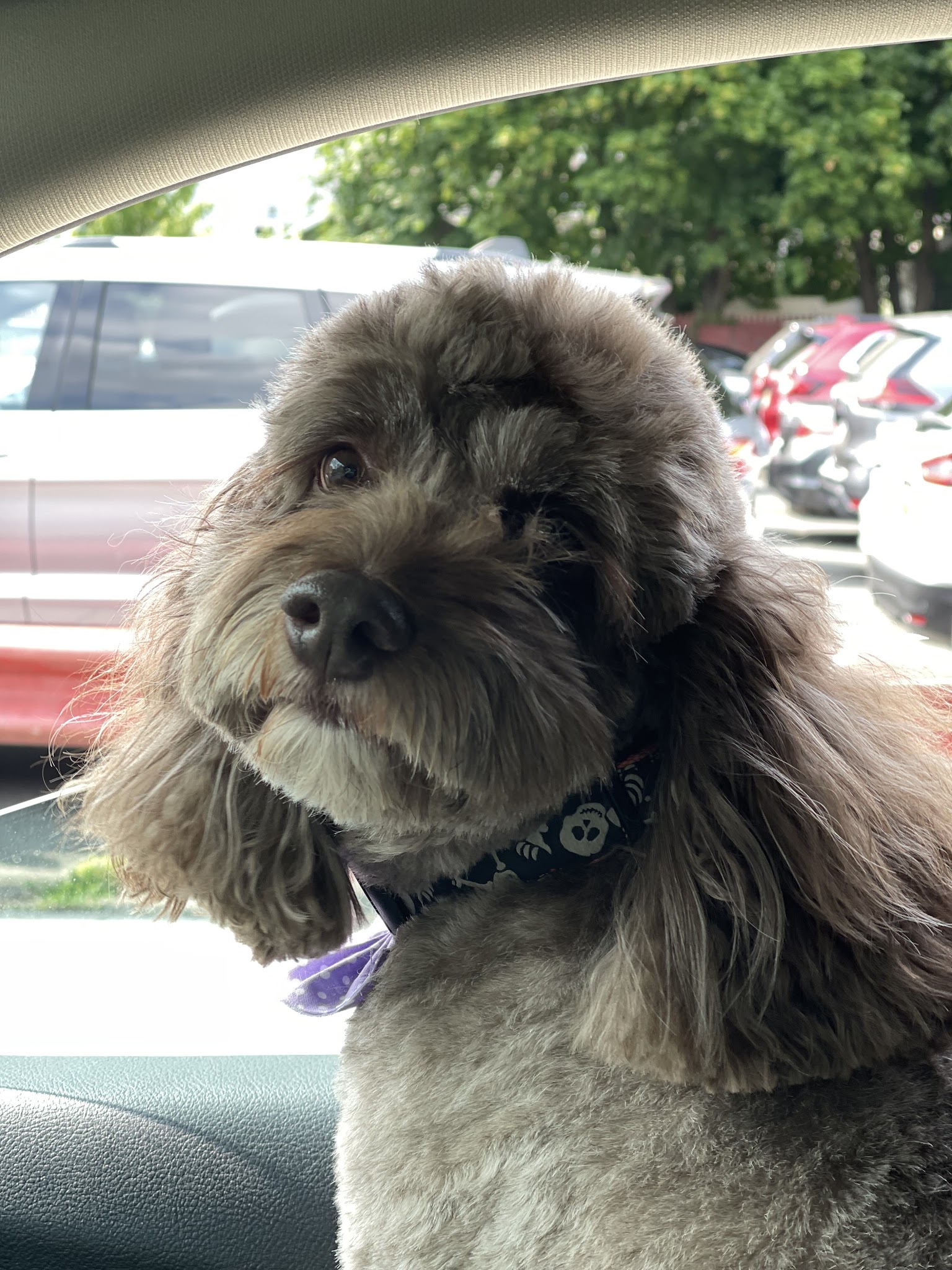 Head To Tail - Cliffside Park, NJ