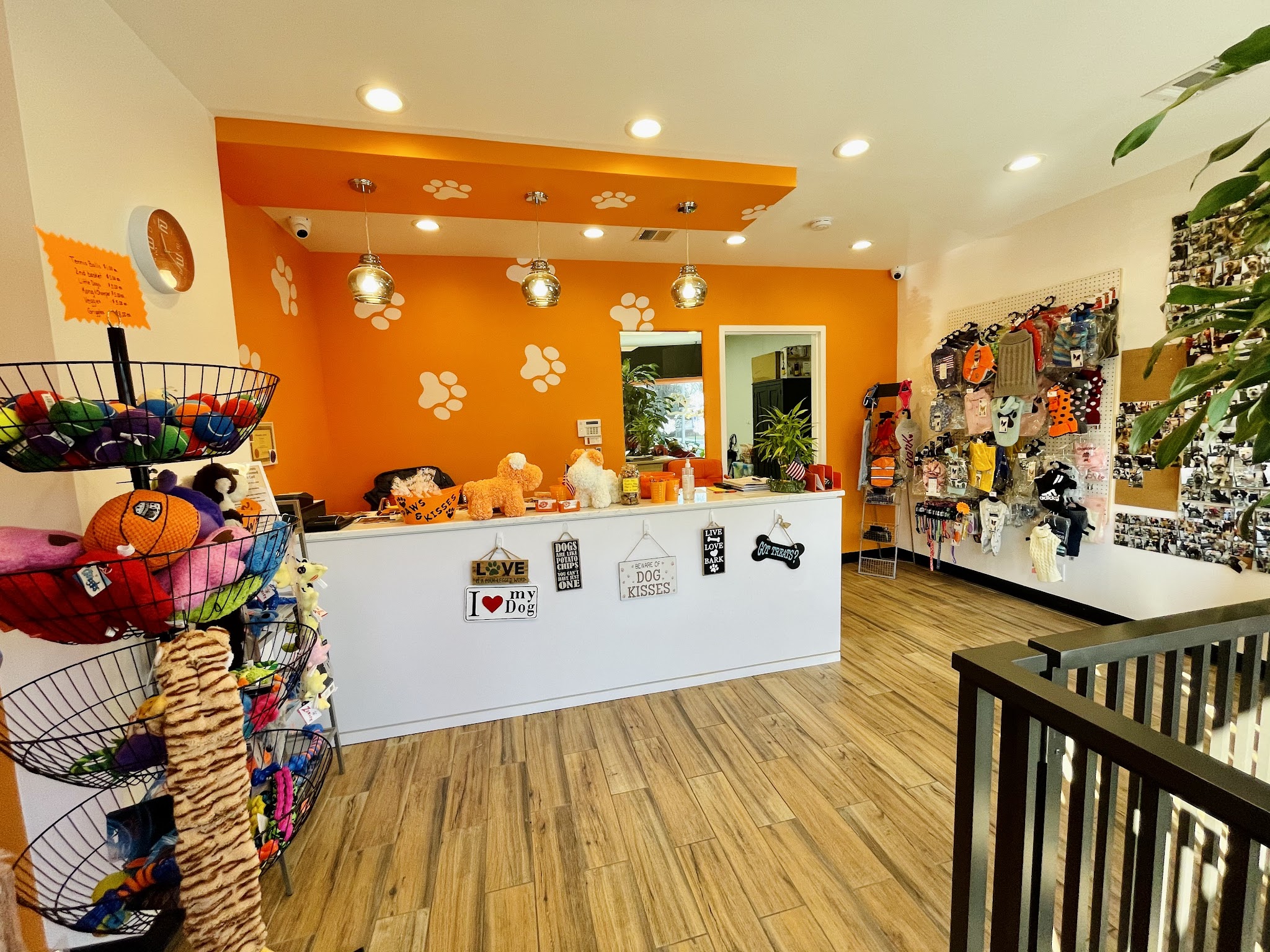 Paws & Kisses - Cliffside Park, NJ