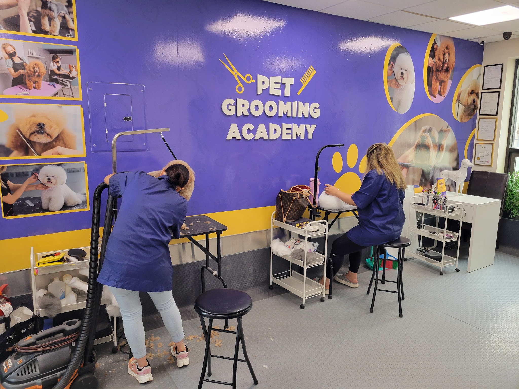 Pet Grooming Academy - Cliffside Park, NJ