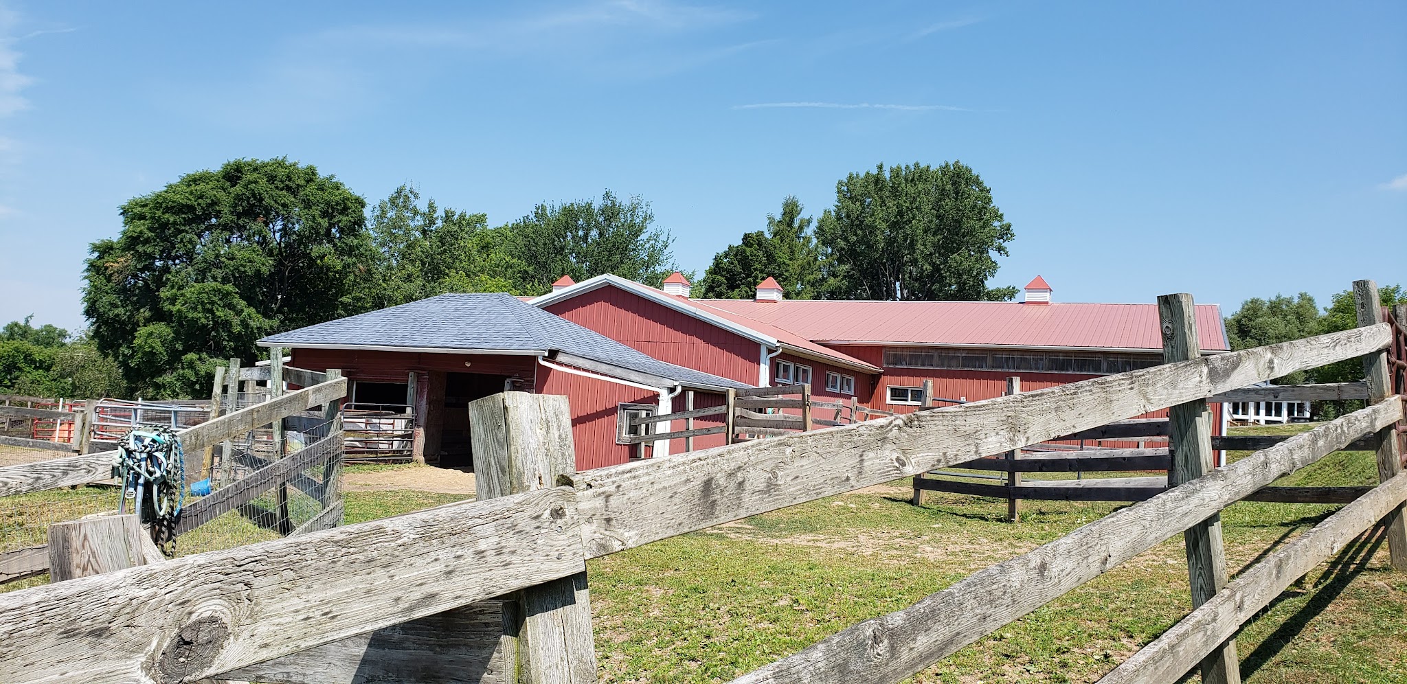 Spring Farm CARES - Clinton, NY