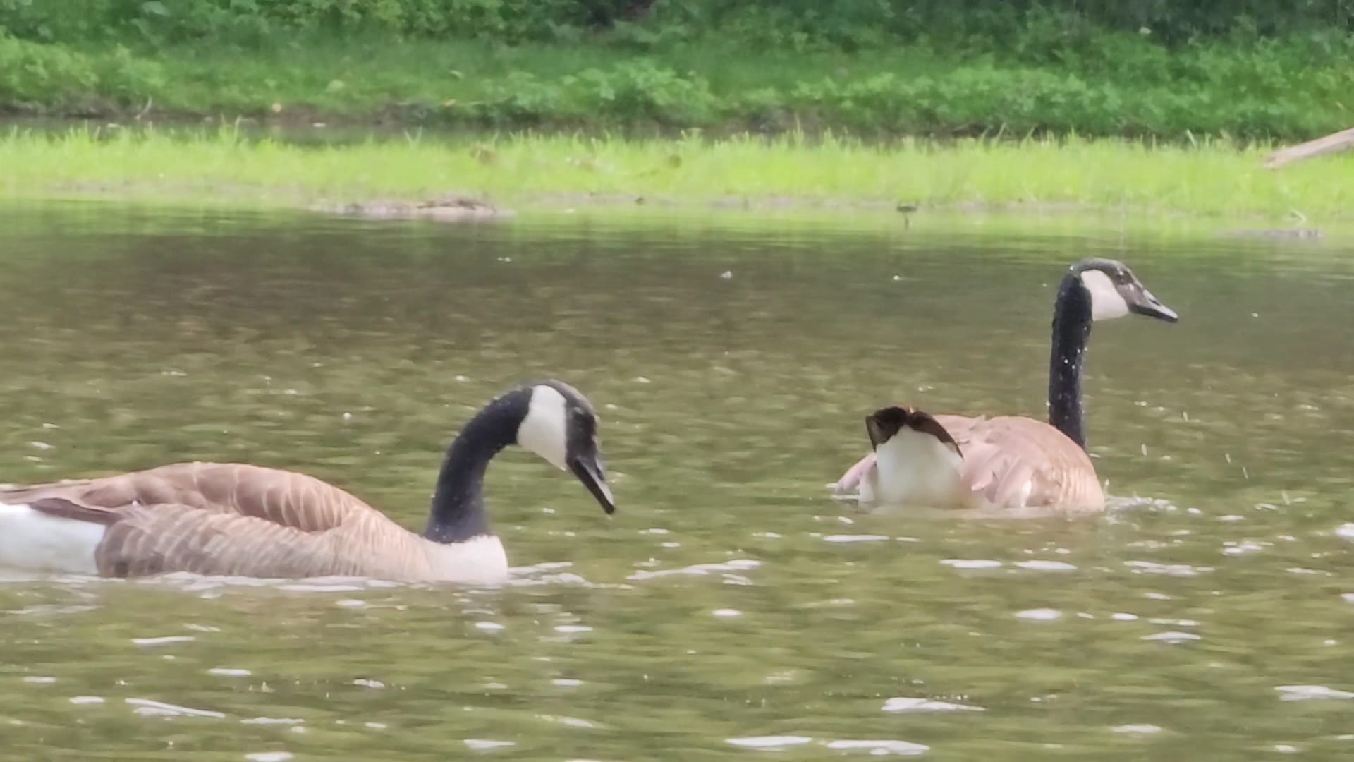 Raccoon Creek State Park Campground - Clinton, PA