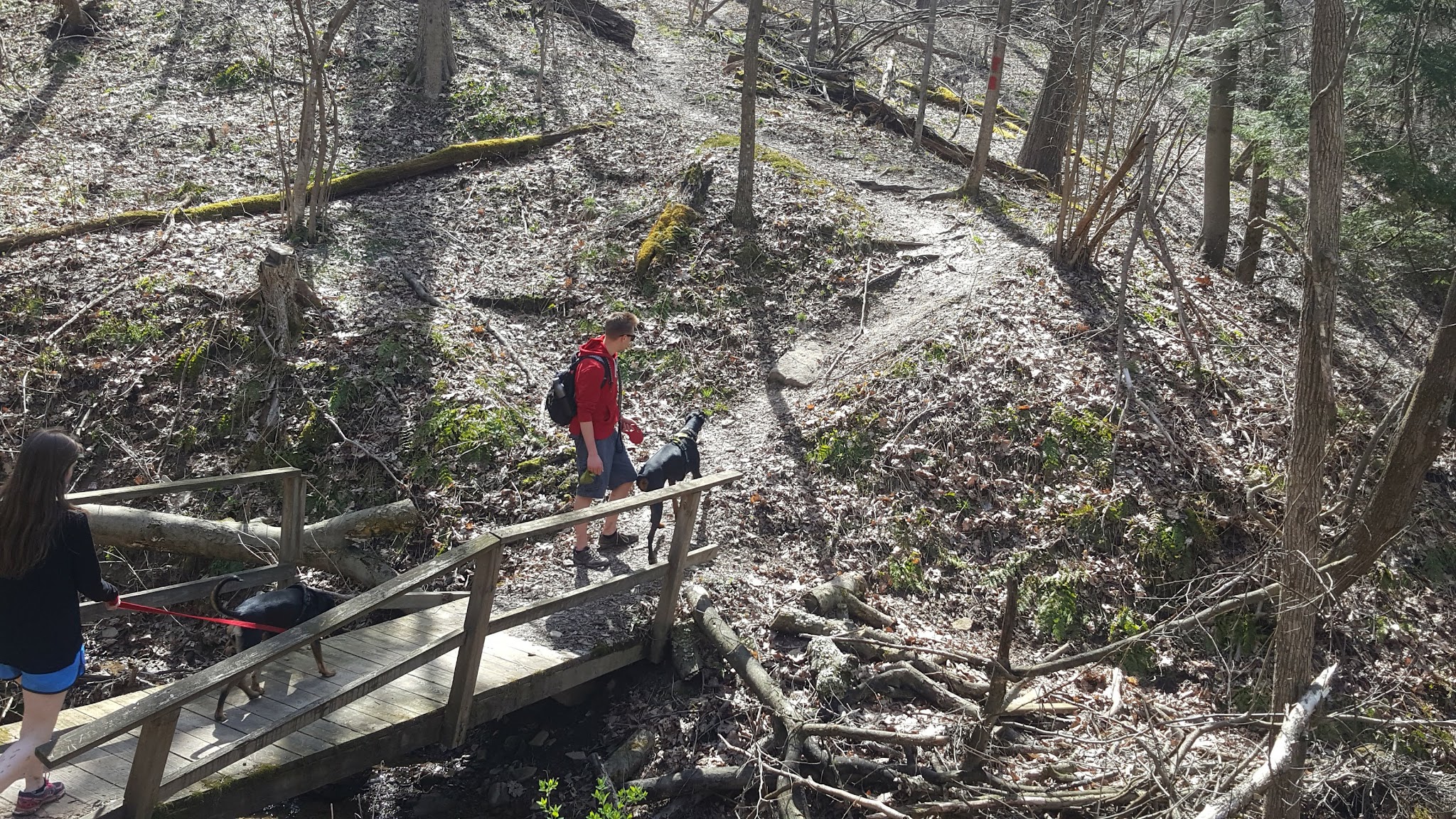 Valley Trail - Raccoon Park Rd Trailhead - Clinton, PA