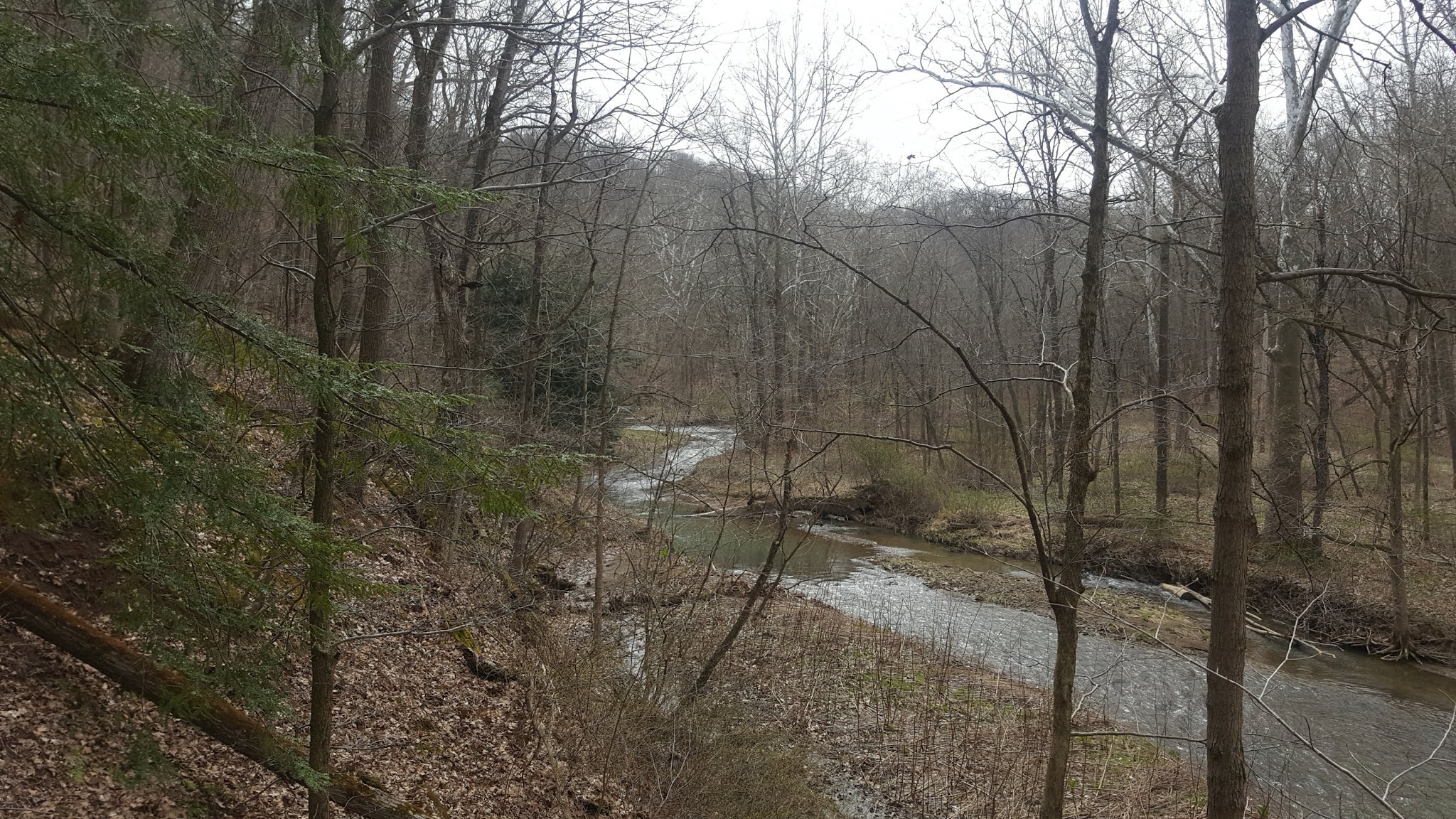 Valley Trail - Raccoon Park Rd Trailhead - Clinton, PA