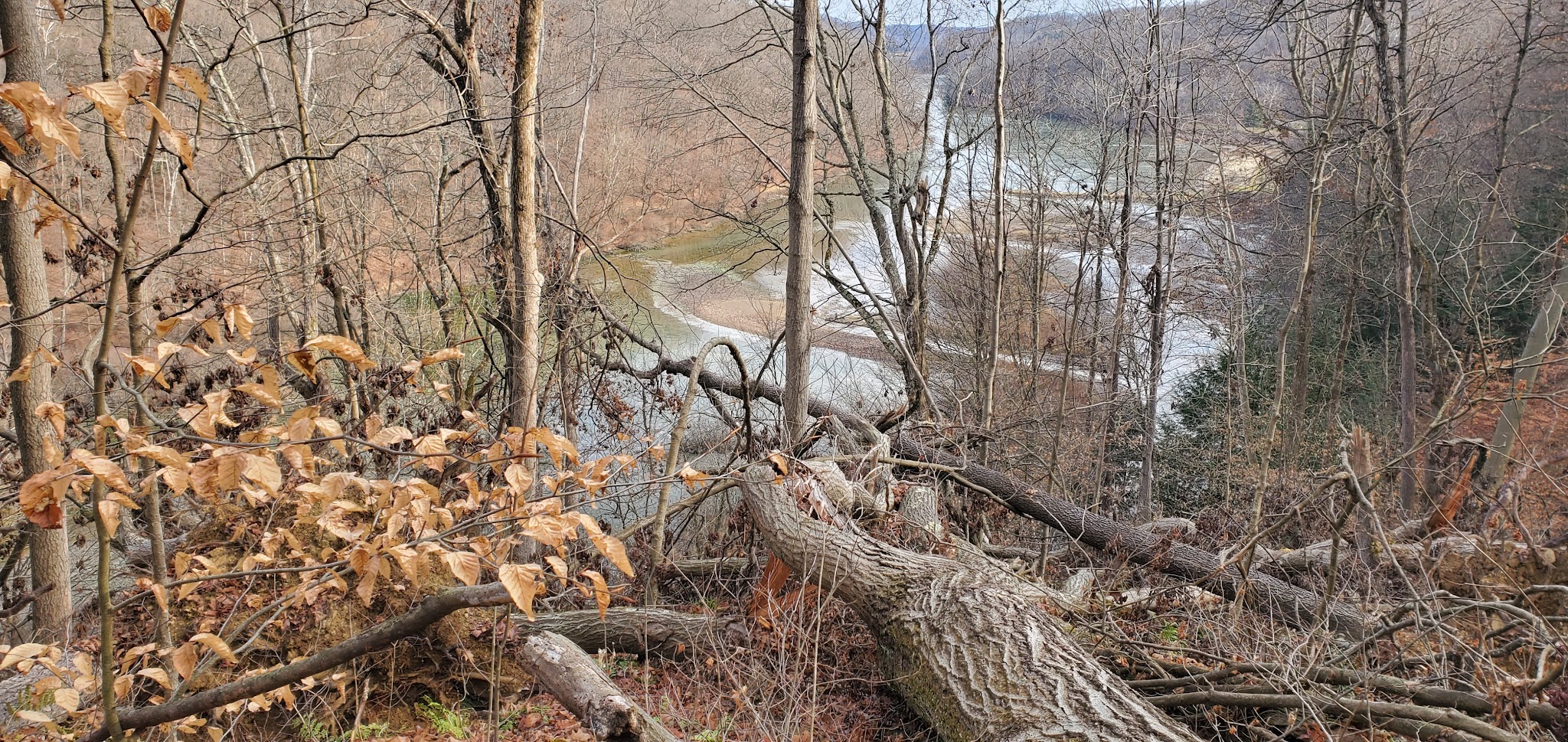 Valley Trail - Raccoon Park Rd Trailhead - Clinton, PA