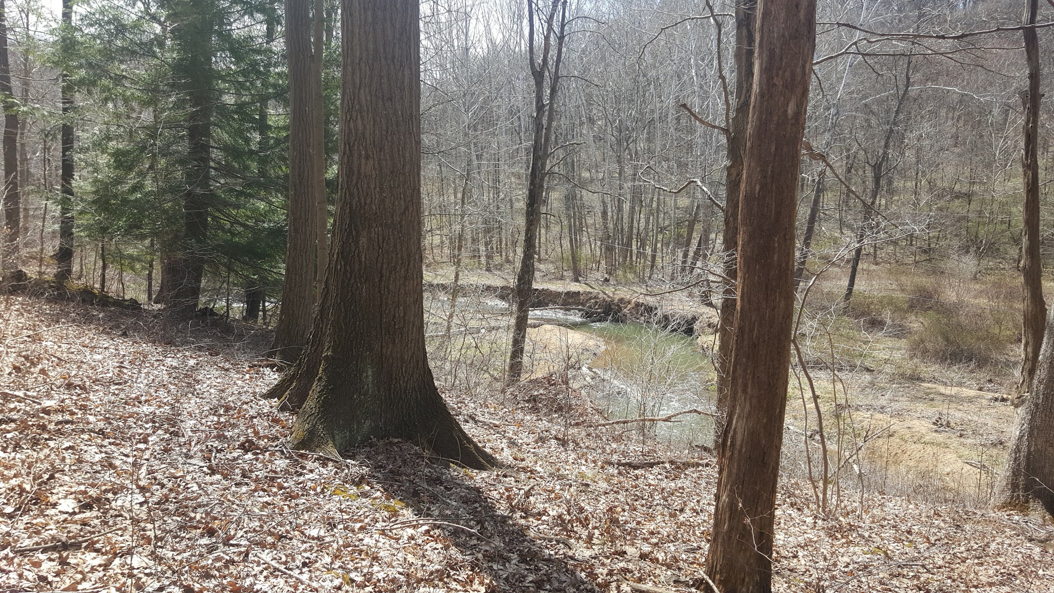 Valley Trail - Raccoon Park Rd Trailhead - Clinton, PA