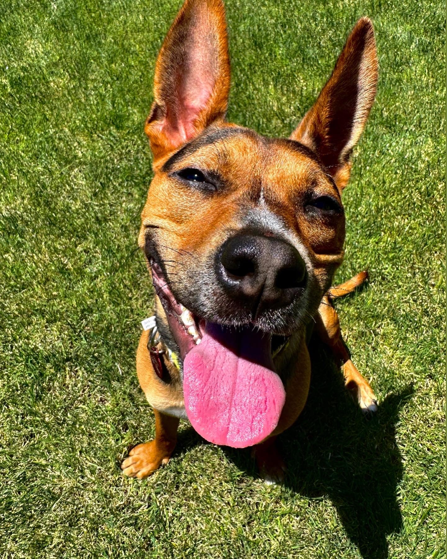 Rotary Park - Clovis, CA