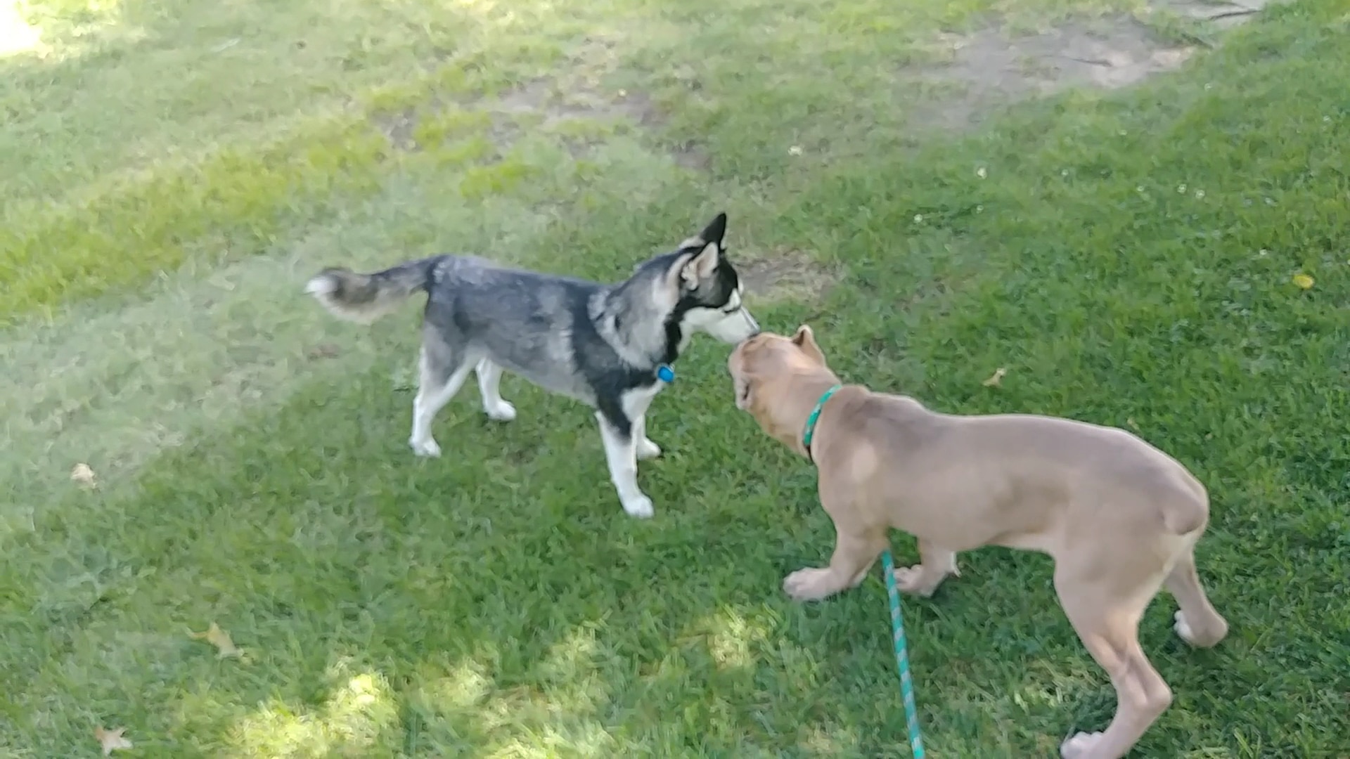 Rotary Park - Clovis, CA