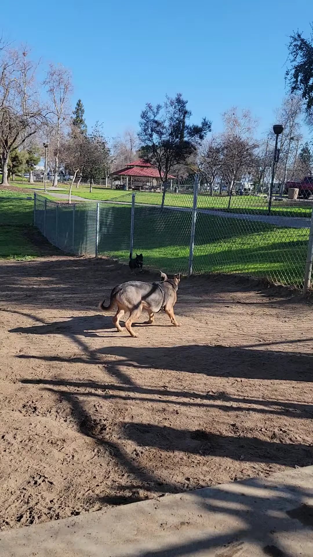 Sierra Bicentennial Dog Park - Clovis, CA