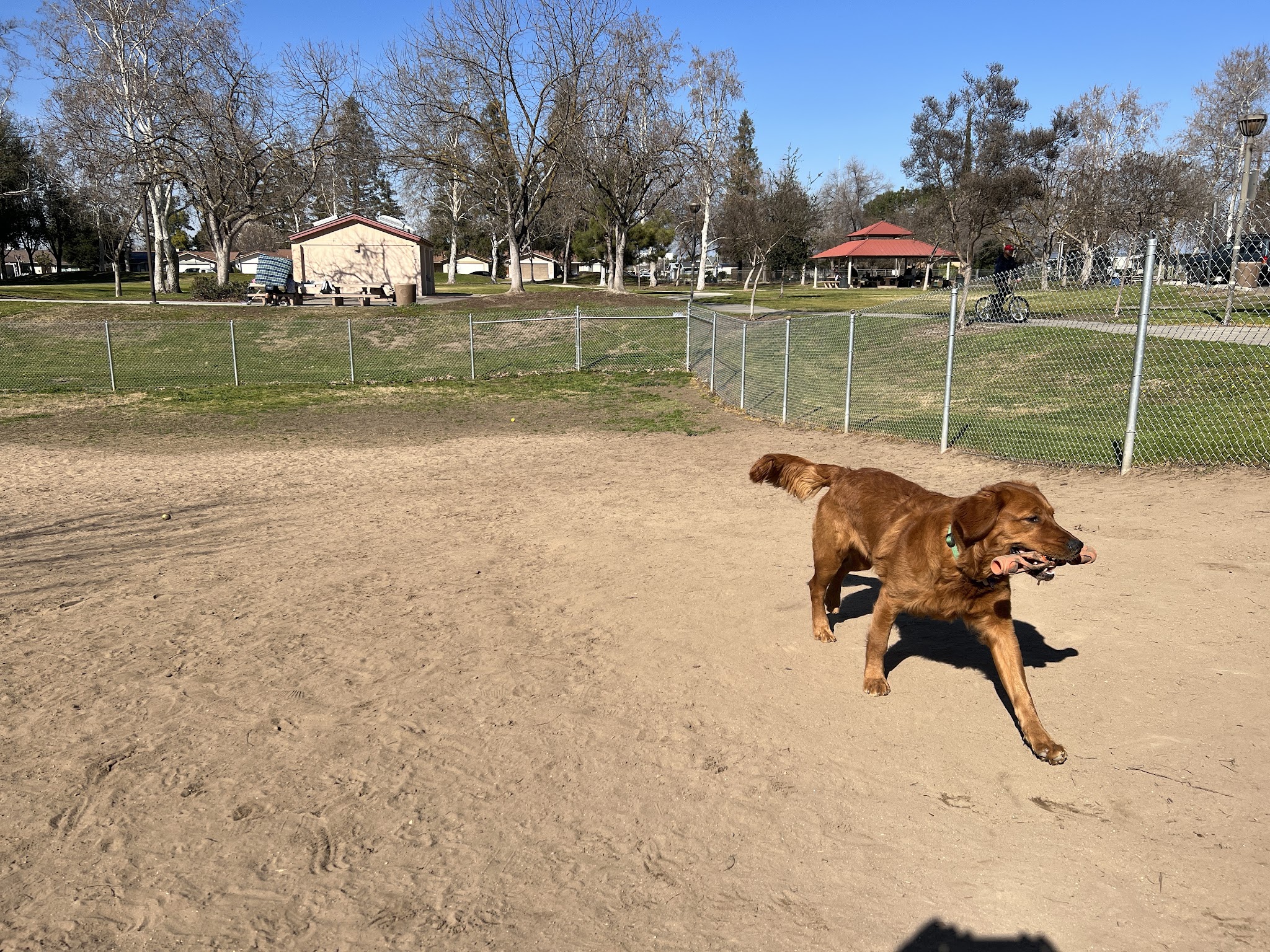 Sierra Bicentennial Dog Park - Clovis, CA