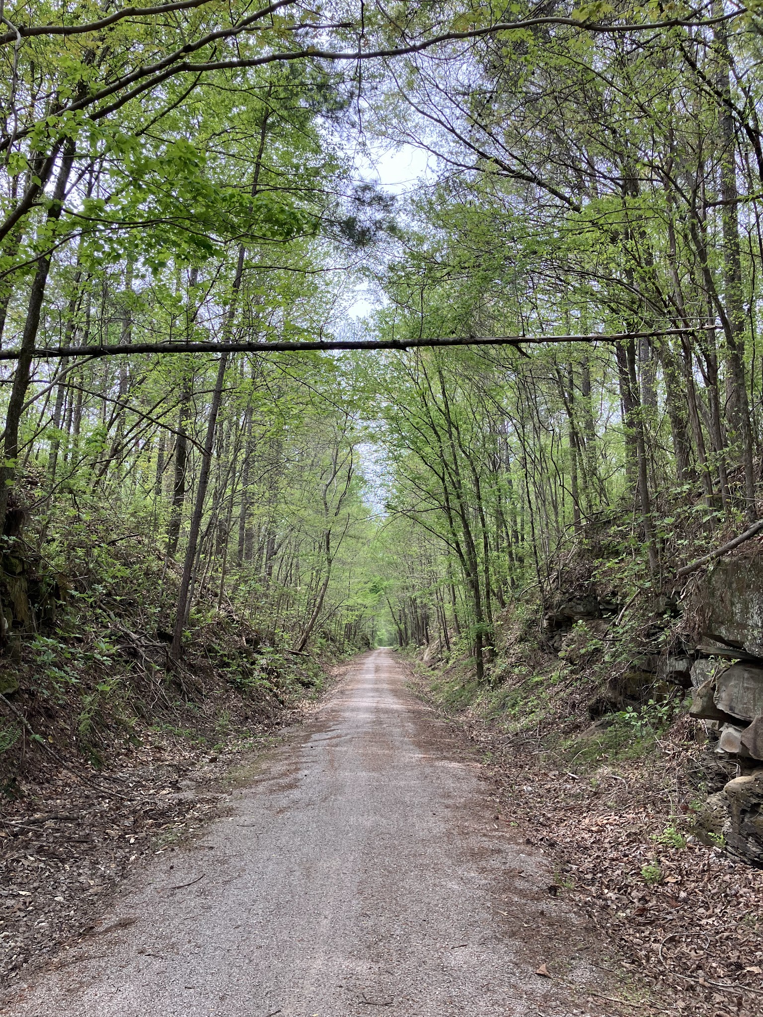 Five Mile Creek Greenway Trail System Parking Area (Shady Grove) - Coalburg, AL