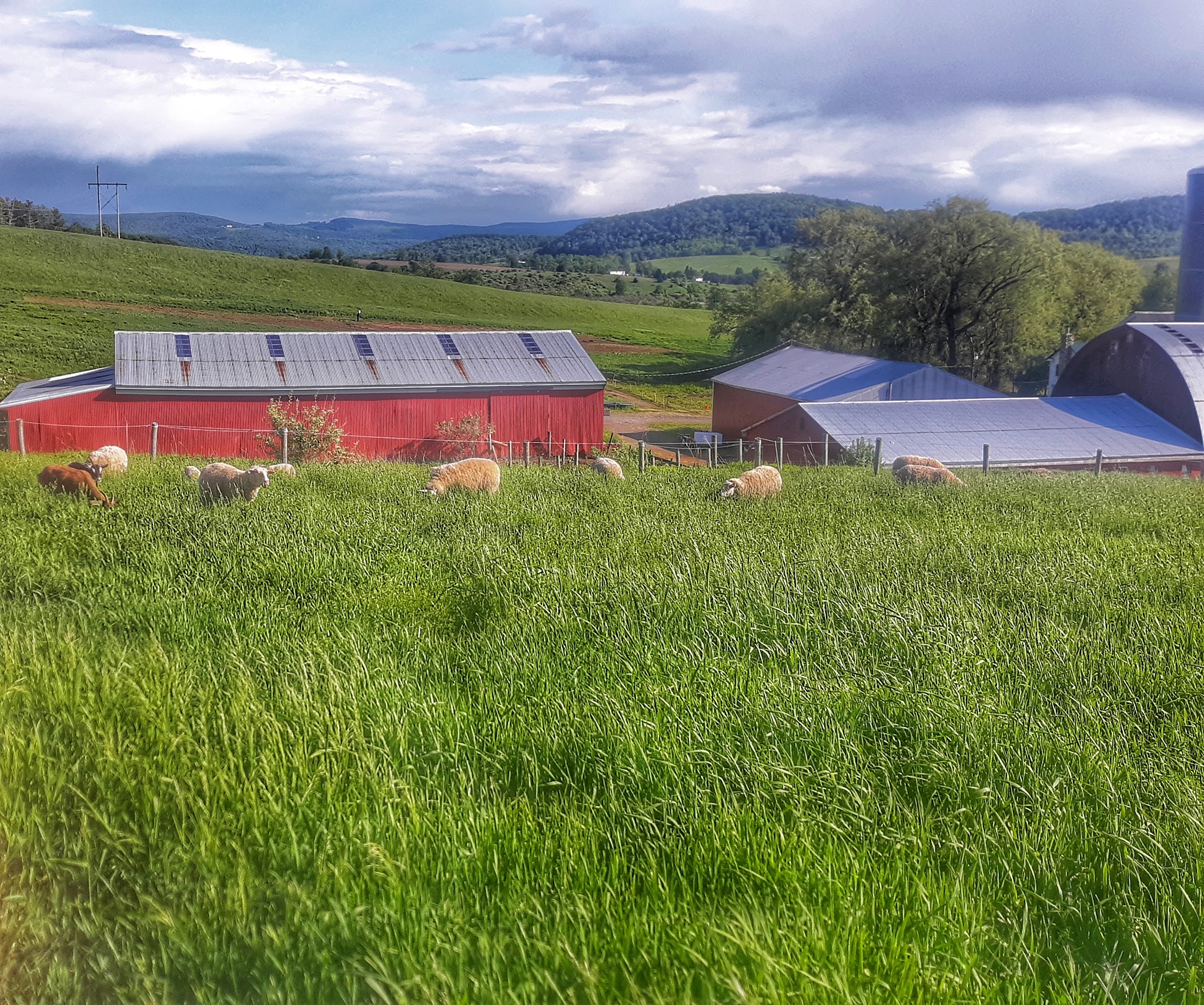 Empty Pockets Ranch LLC - Cobleskill, NY