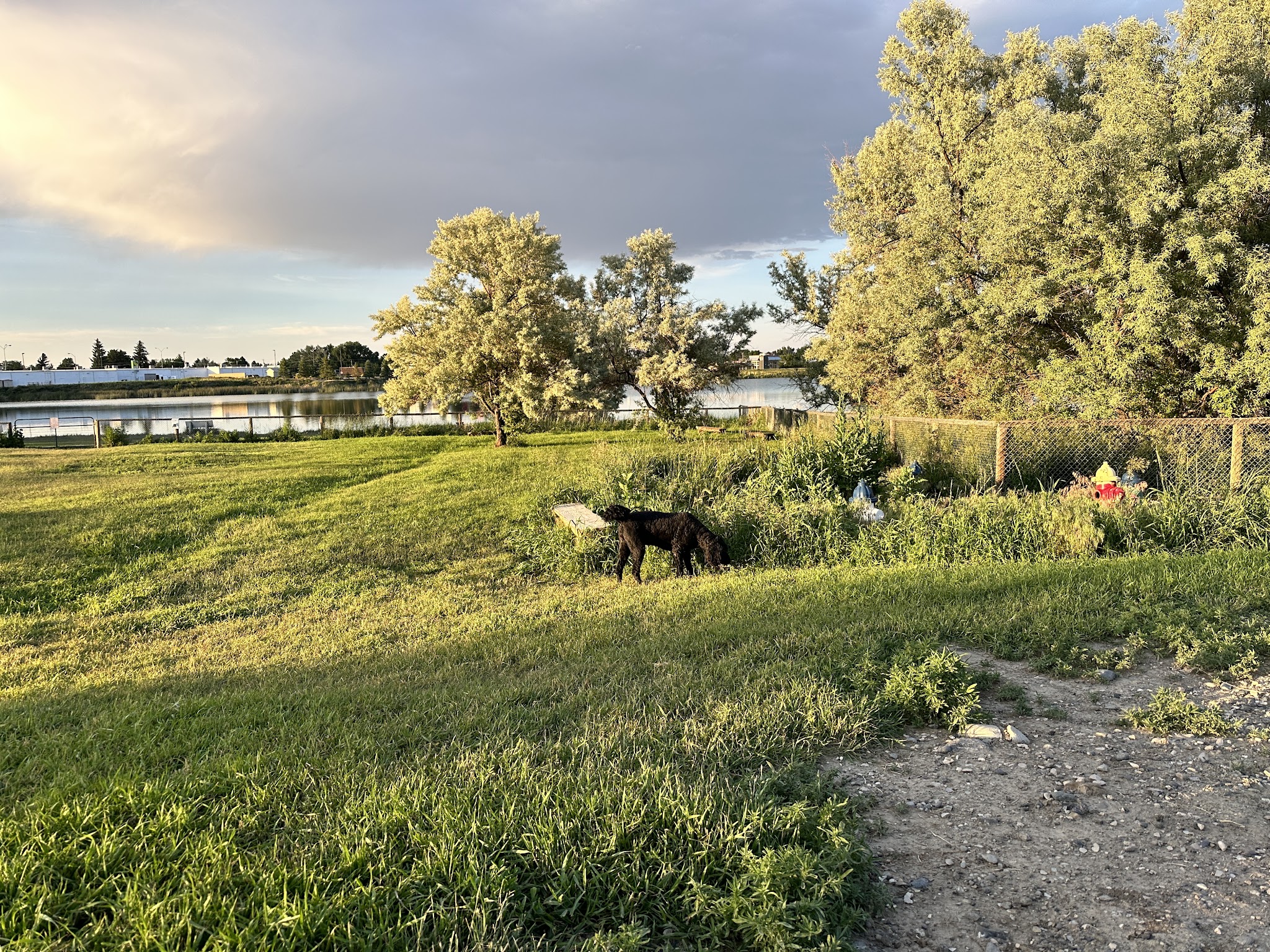 Beck Lake Dog Park - Cody, WY