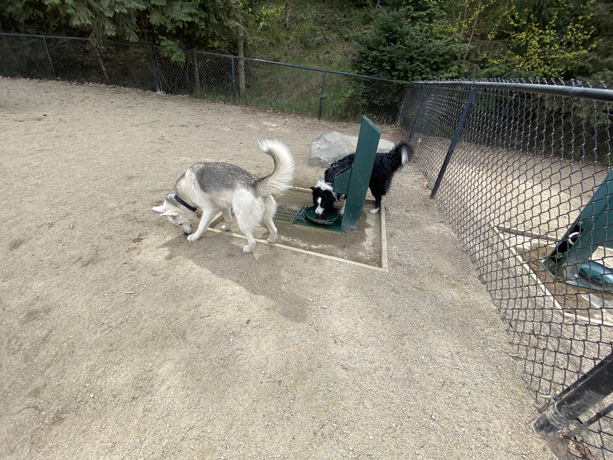McCuen Dog Park - Coeur d'Alene, ID