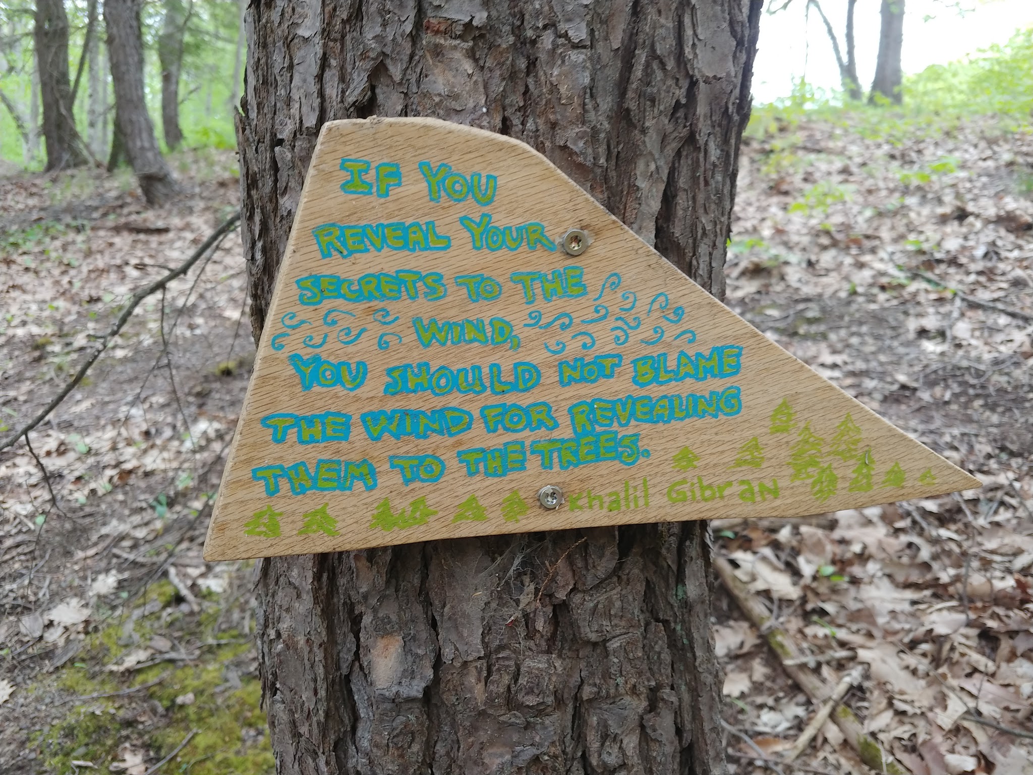 Magic Forest Farm - Coeymans Hollow, NY