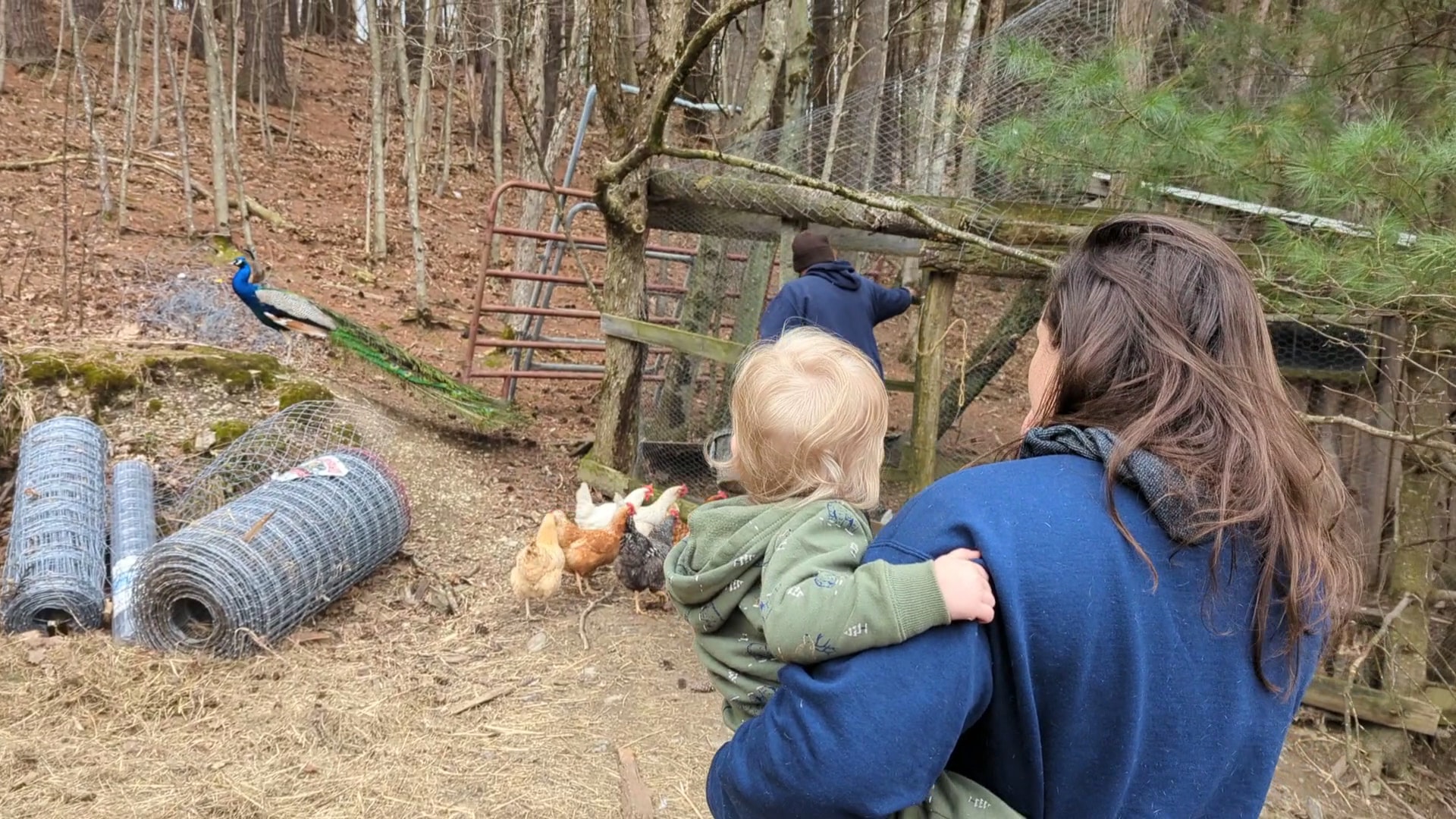 Magic Forest Farm - Coeymans Hollow, NY
