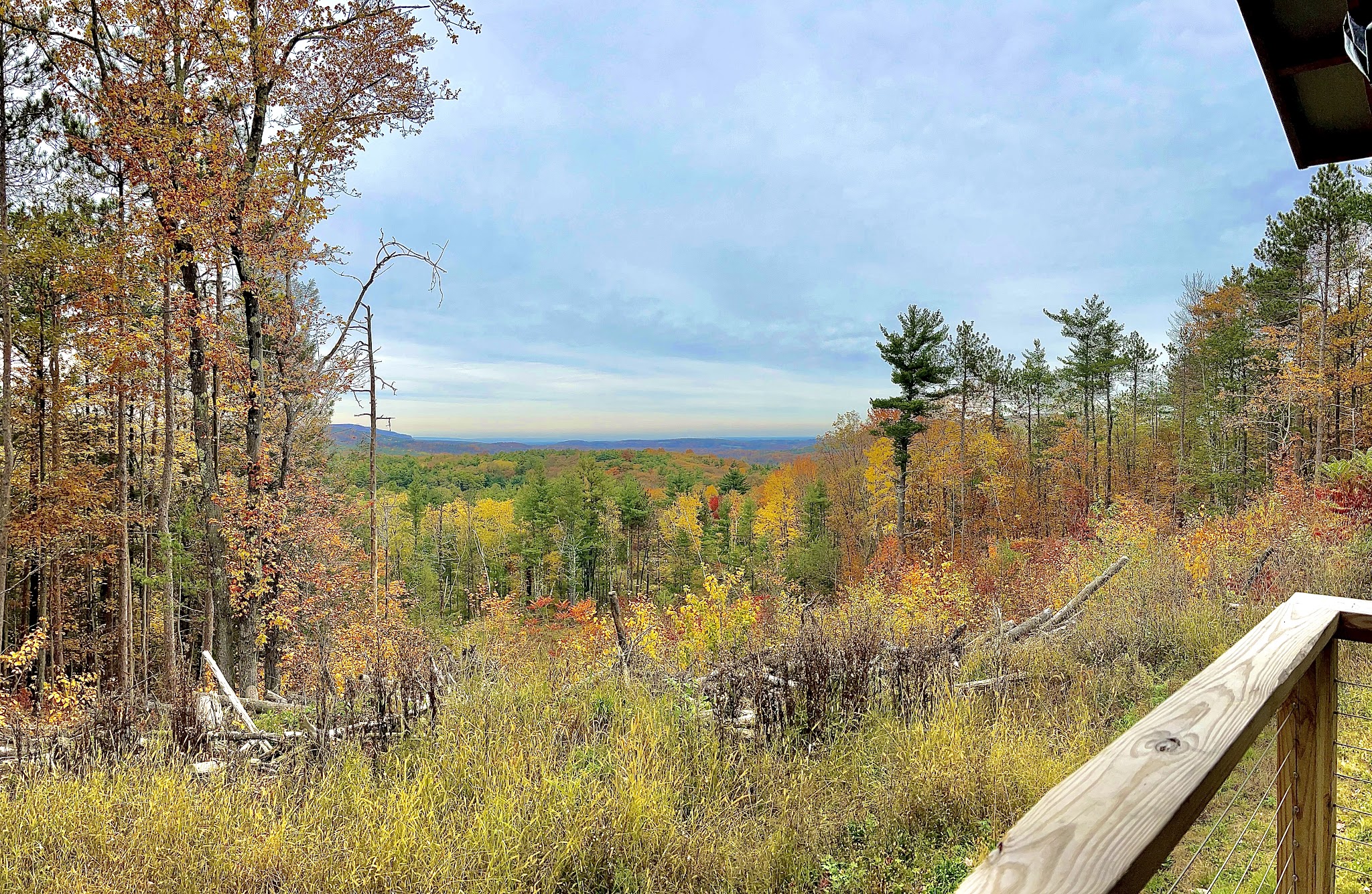 Magic Forest Farm - Coeymans Hollow, NY