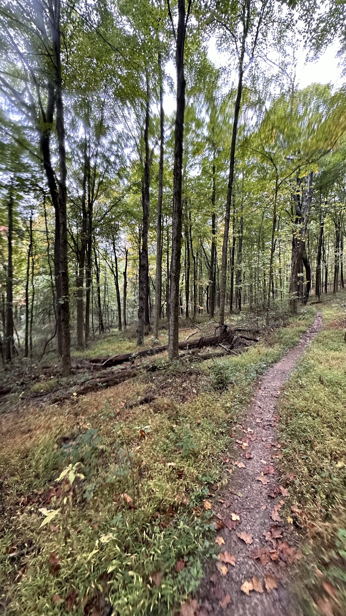 Panhandle Connector Trail Trailhead - Collier Township, PA