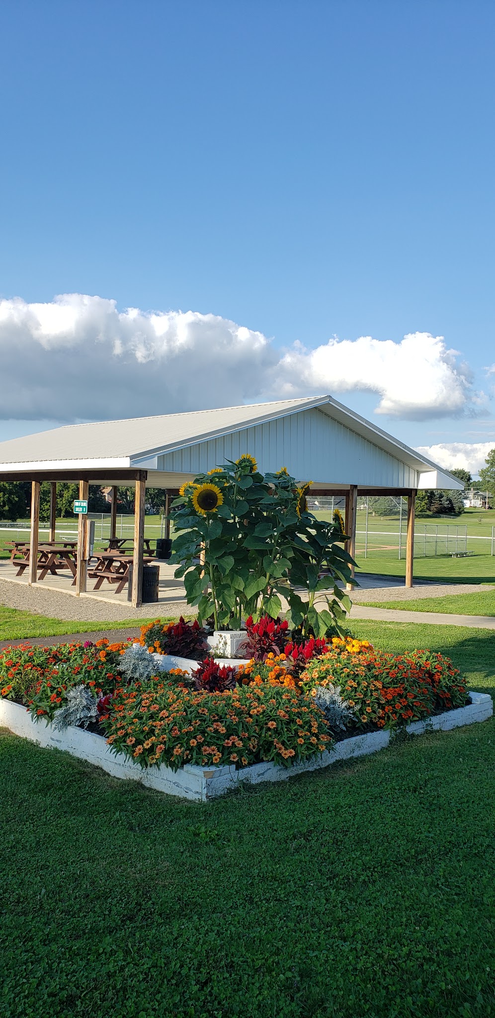 Town of Collins Park - Collins, NY