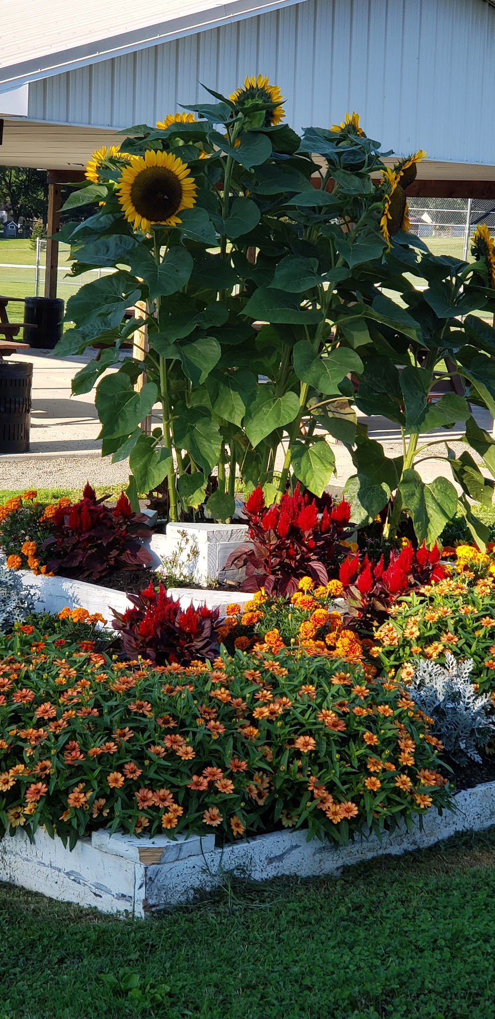 Town of Collins Park - Collins, NY