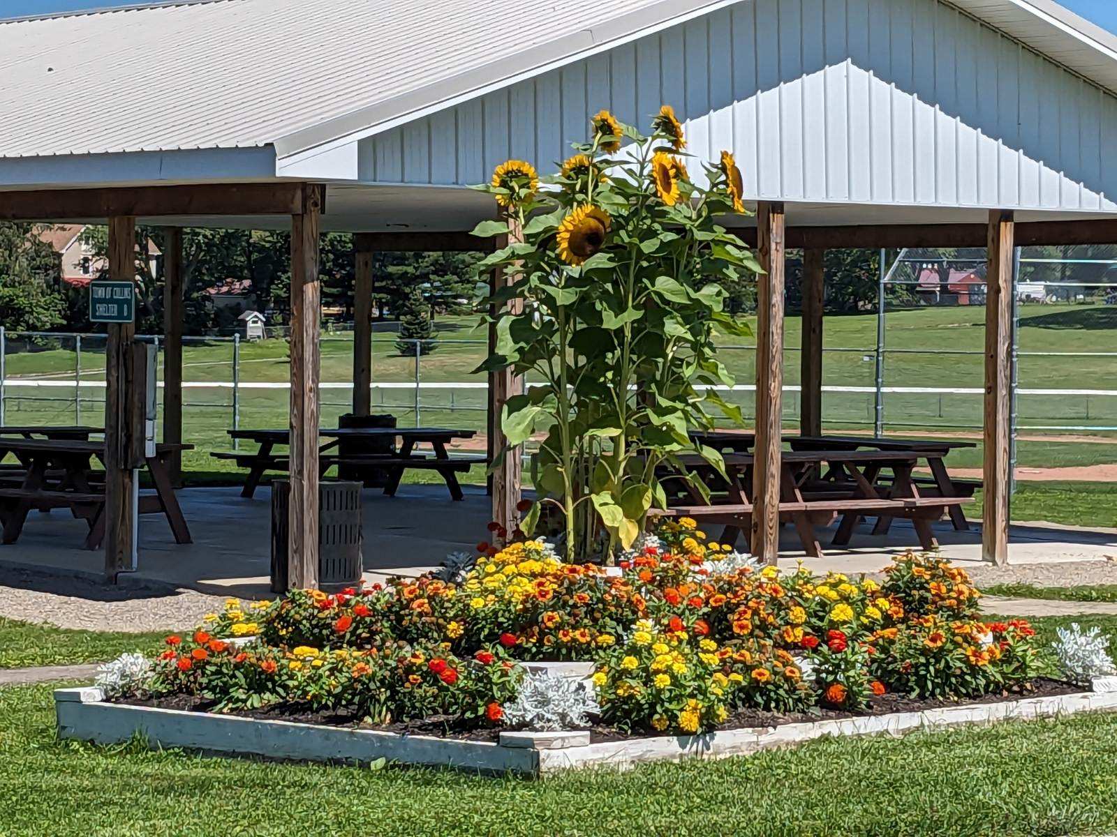 Town of Collins Park - Collins, NY