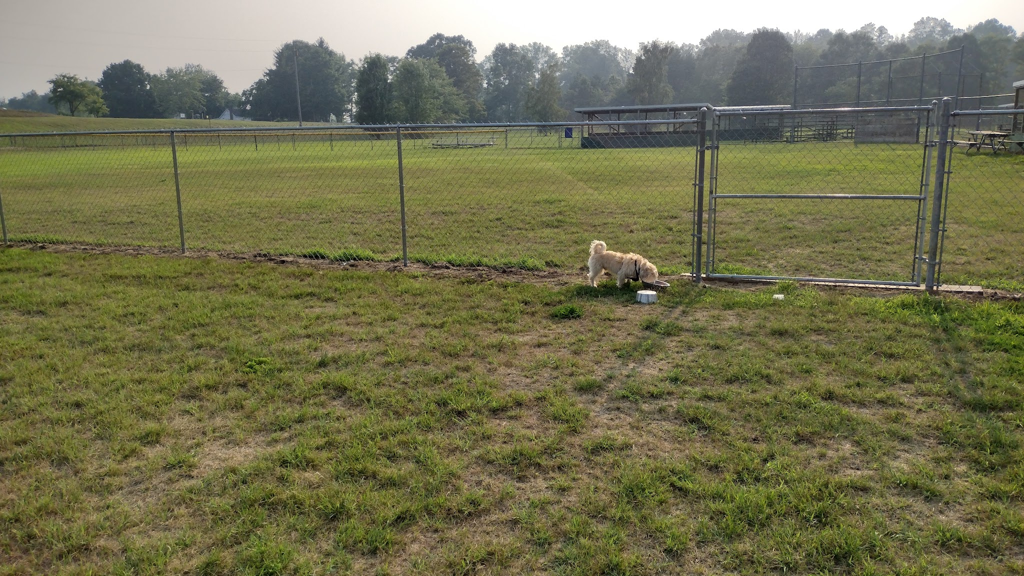 Momany Park Family Park - Coloma, MI