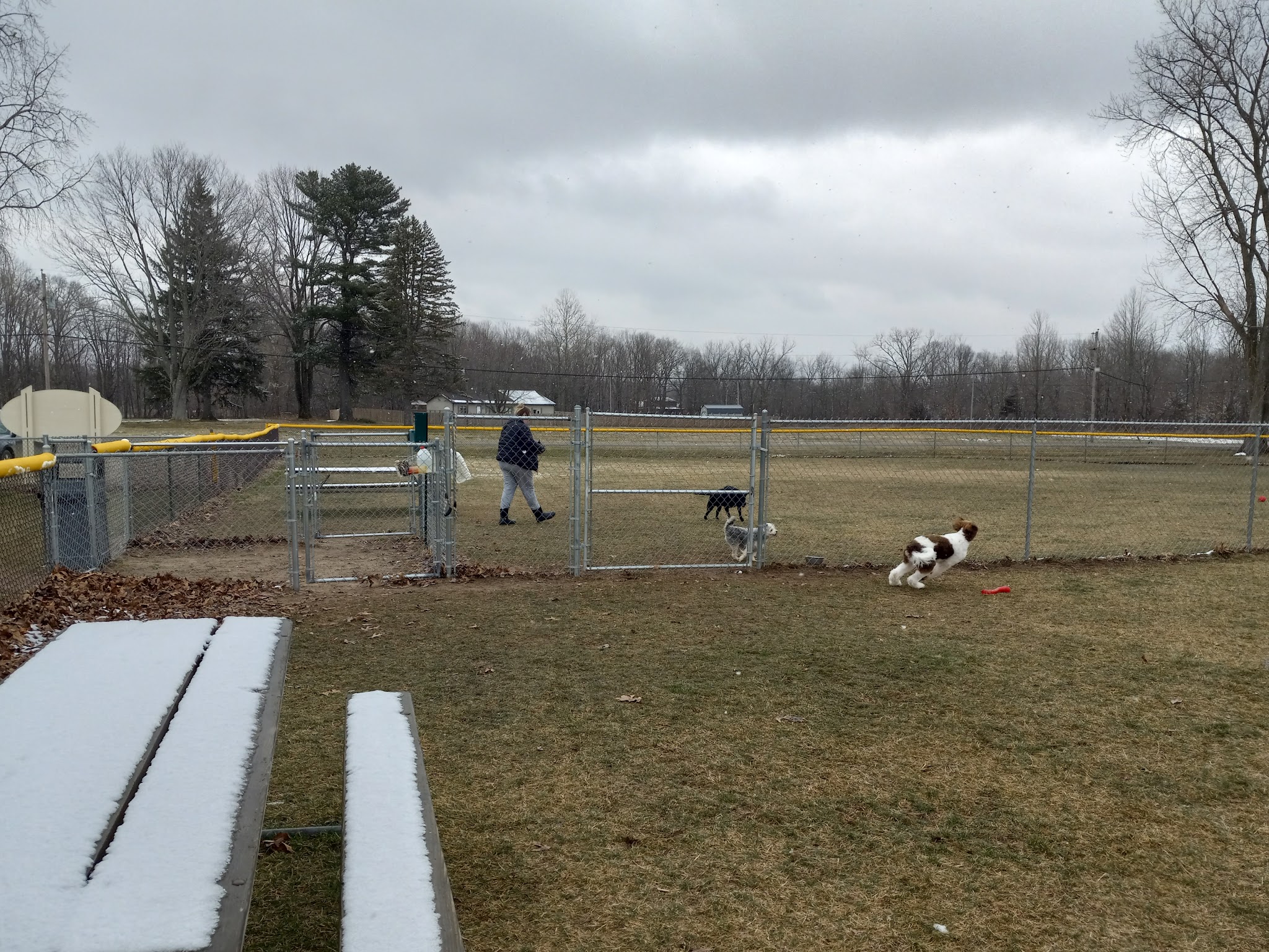 Momany Park Family Park - Coloma, MI
