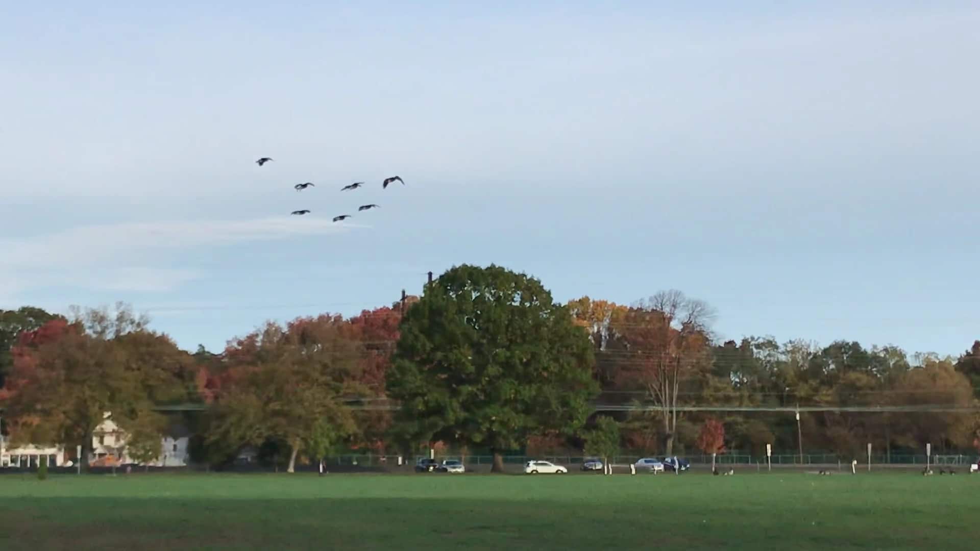 Merrill Park - Colonia, NJ