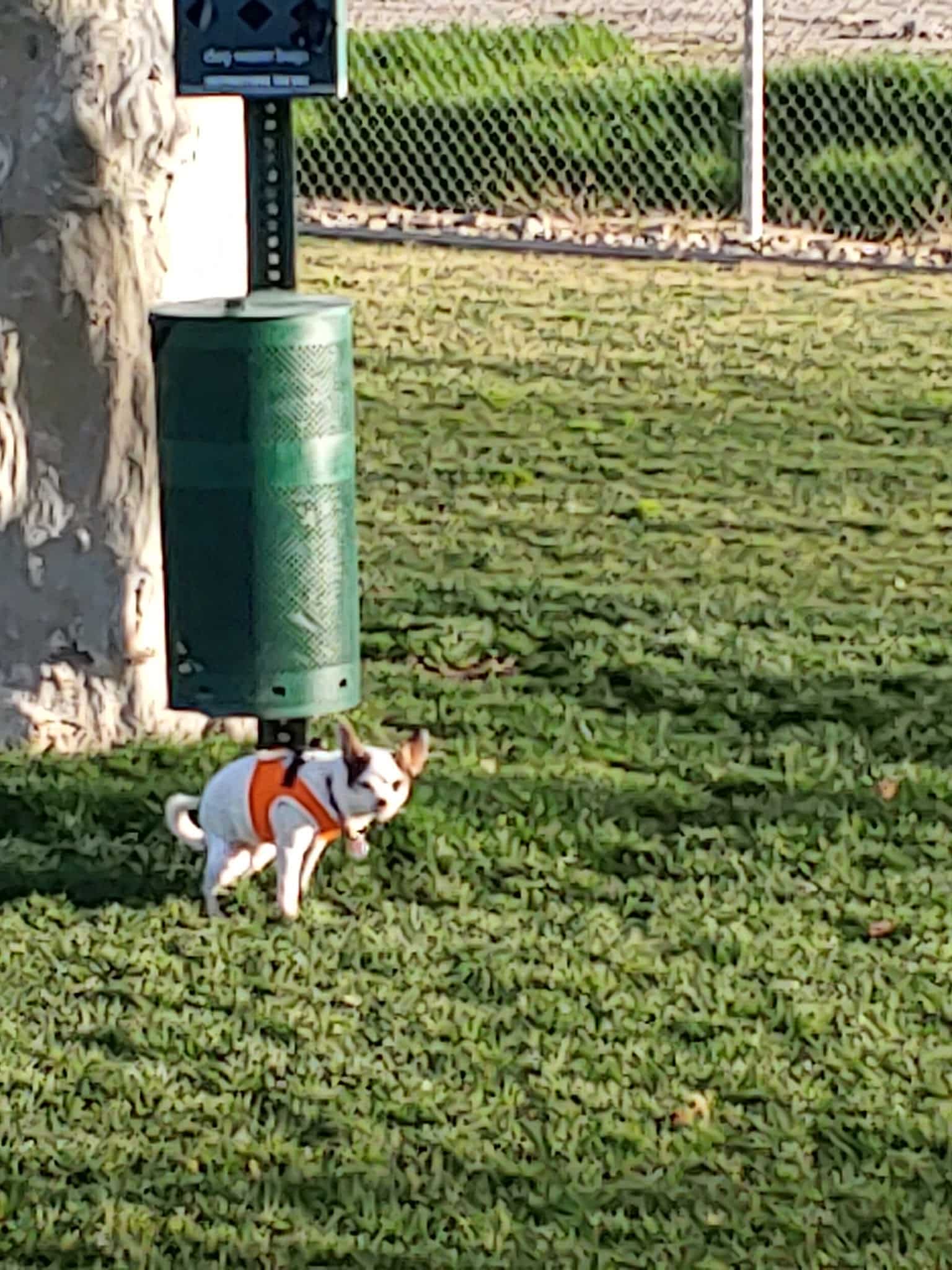 Colton K9 Memorial Dog Park - Colton, CA