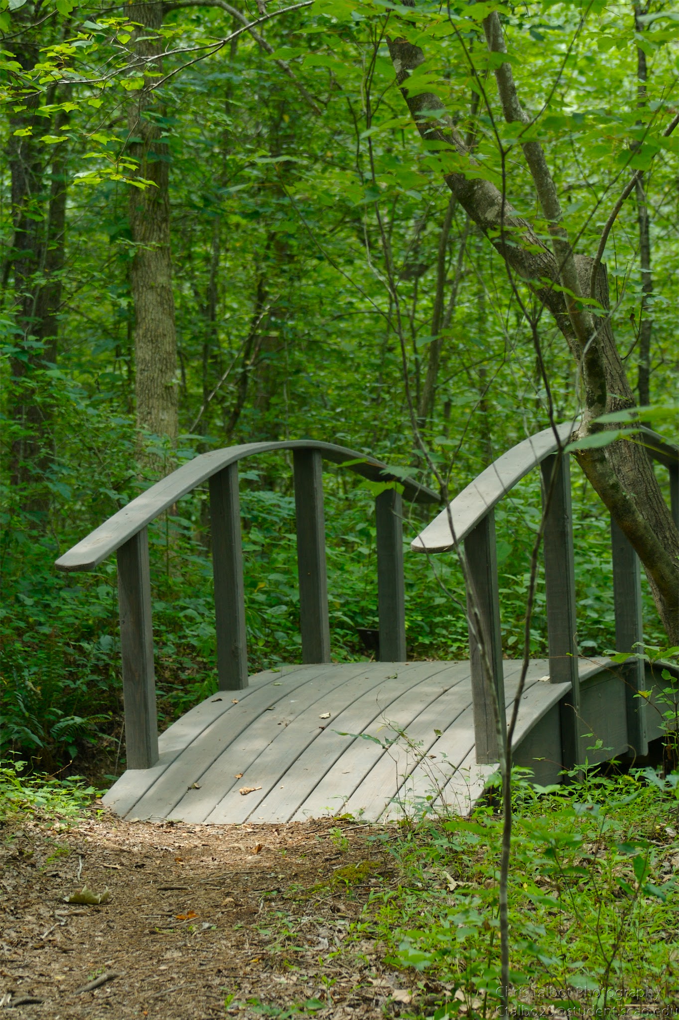 Adawehi Trail - Columbus, NC