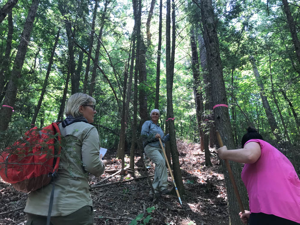 Adawehi Trail - Columbus, NC