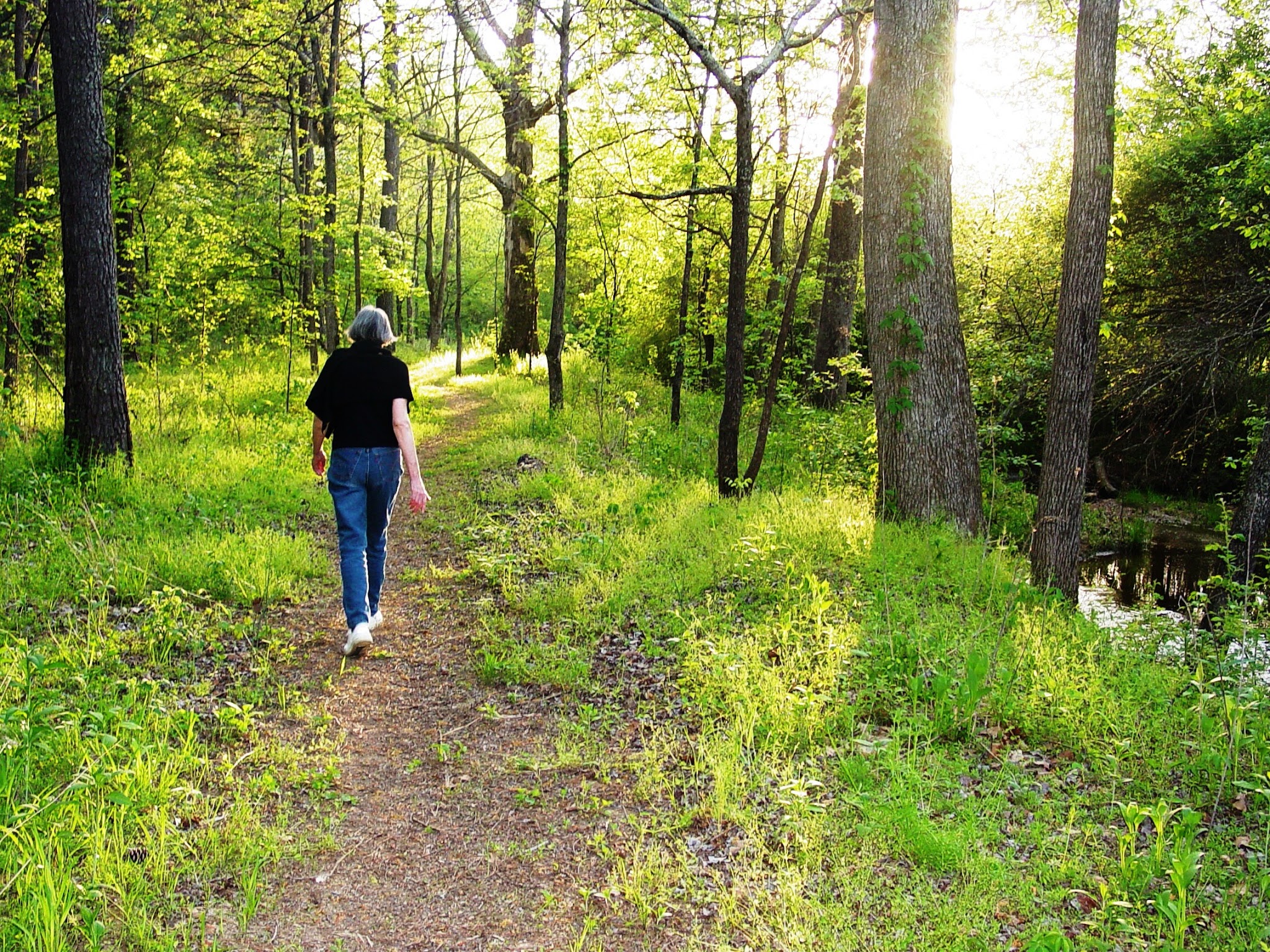 Adawehi Trail - Columbus, NC