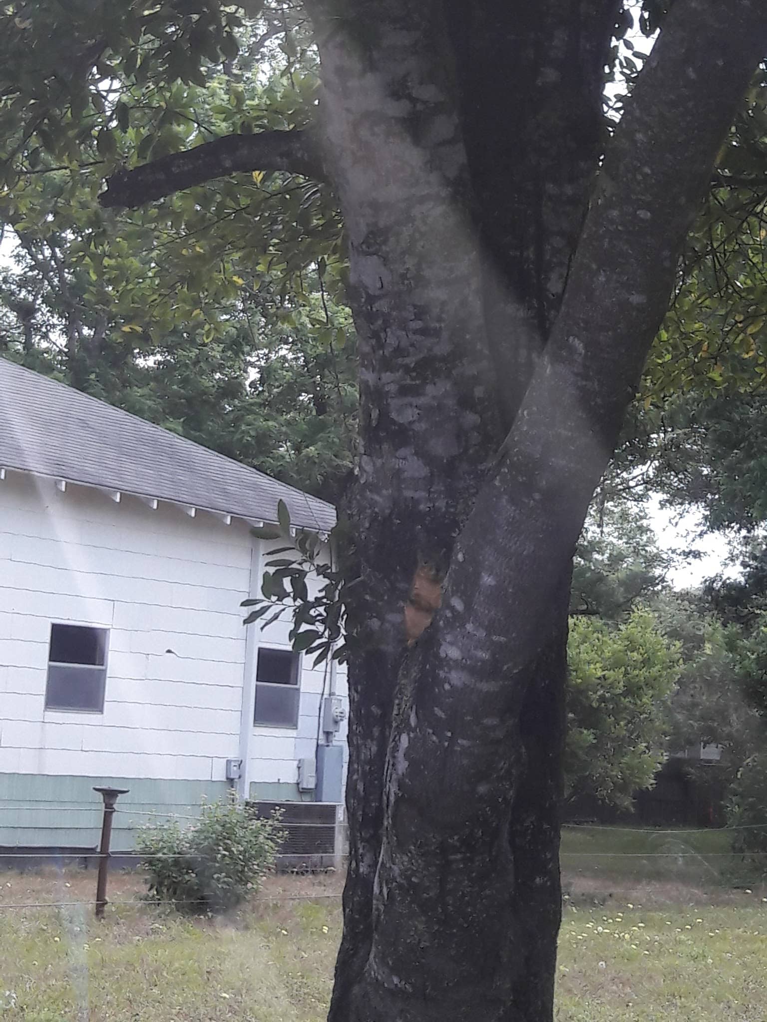 Midtown Park - Columbus, TX