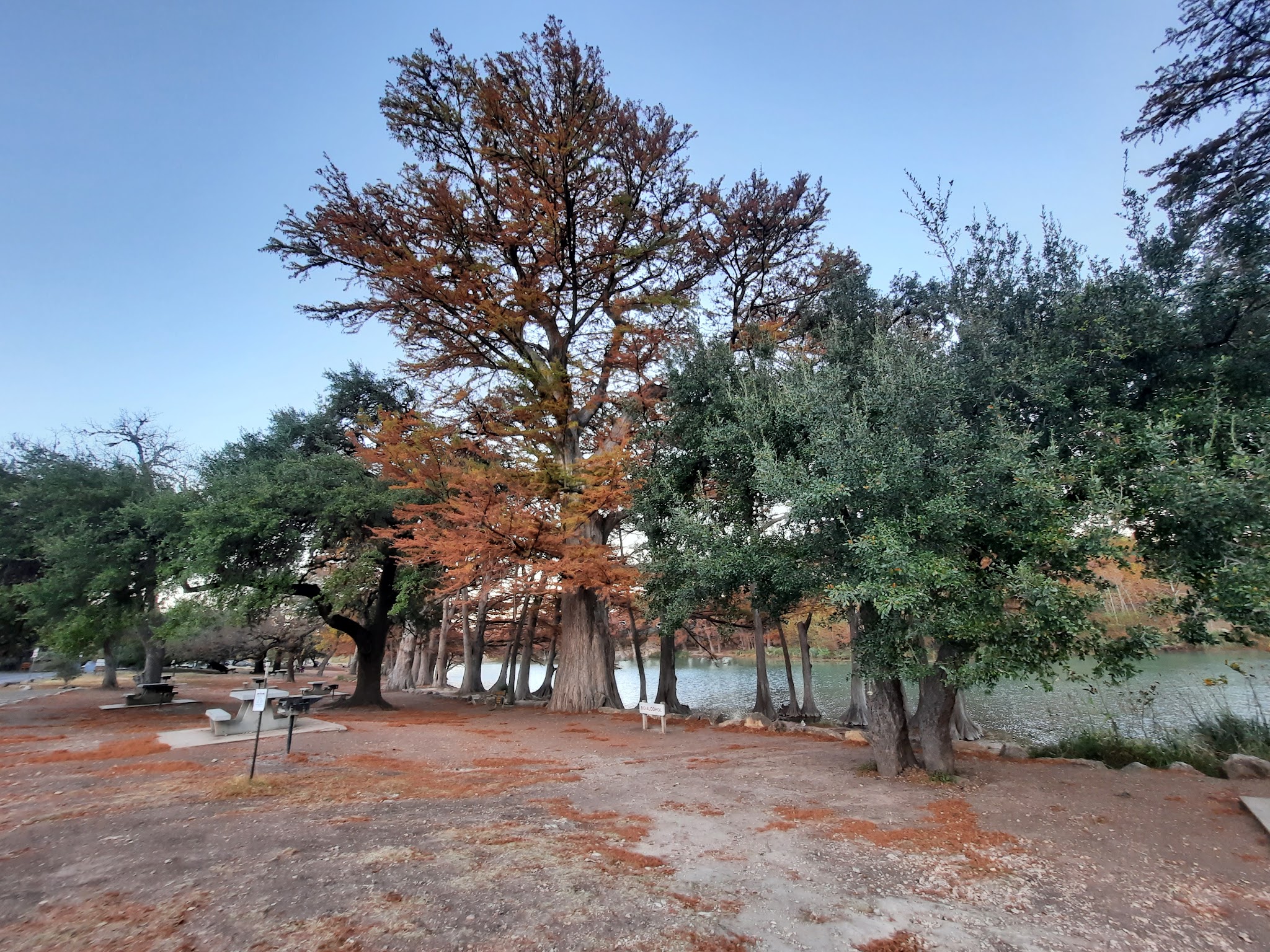 Garner State Park Office - Concan, TX