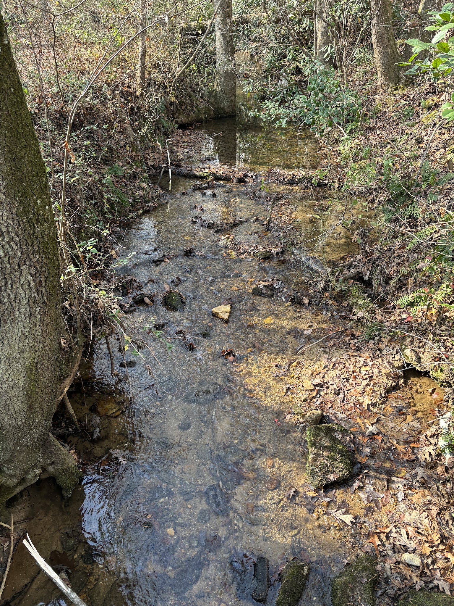 Spring Park - Connelly Springs, NC
