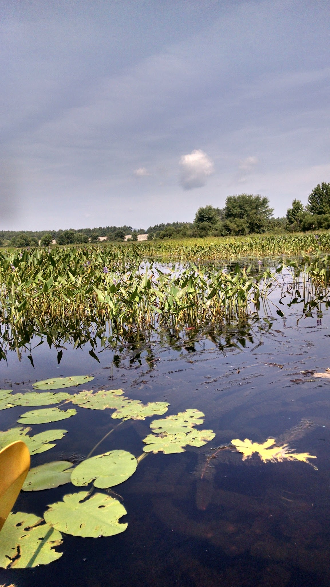 Elm Brook Park - Contoocook, NH