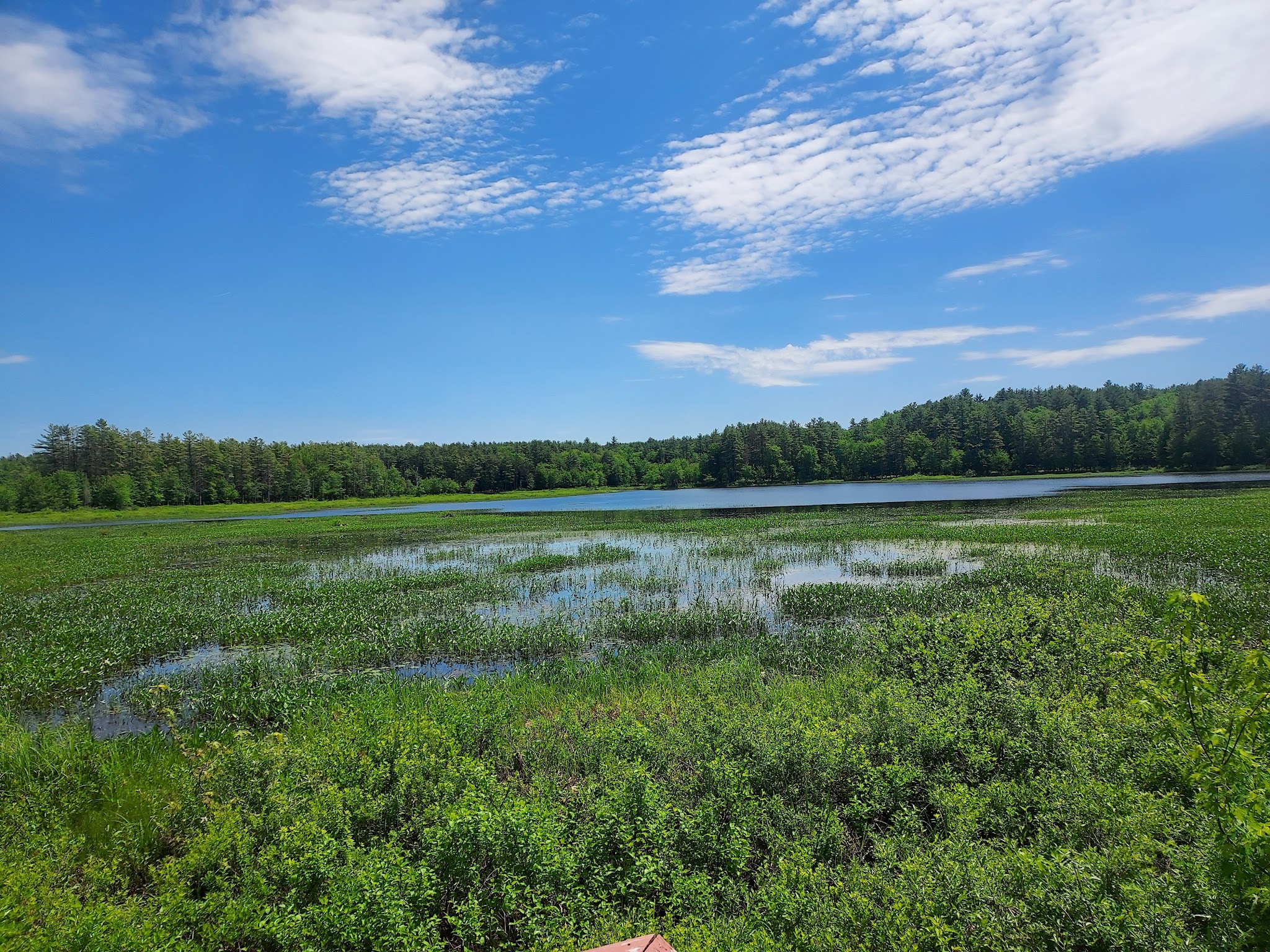 Elm Brook Park - Contoocook, NH