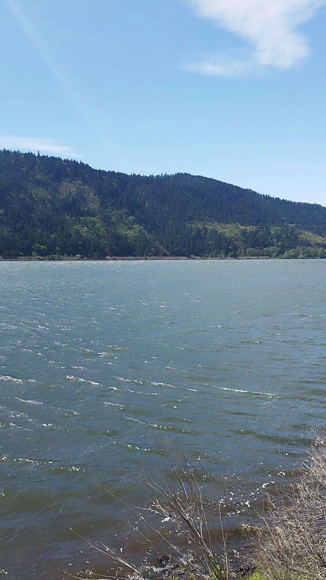 Sailboard Park - Cook, WA